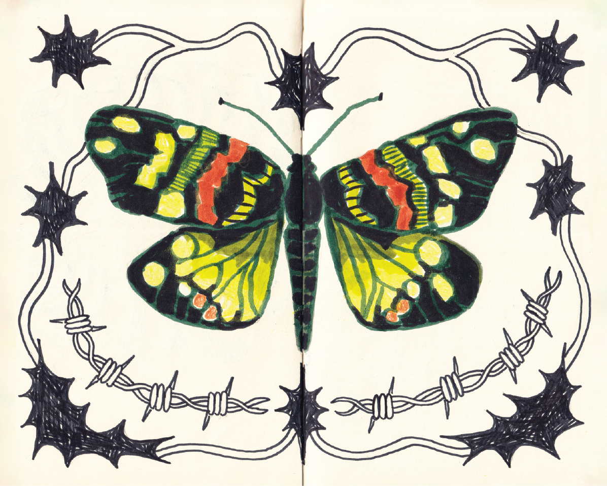 Butterfly_thumbnail.png