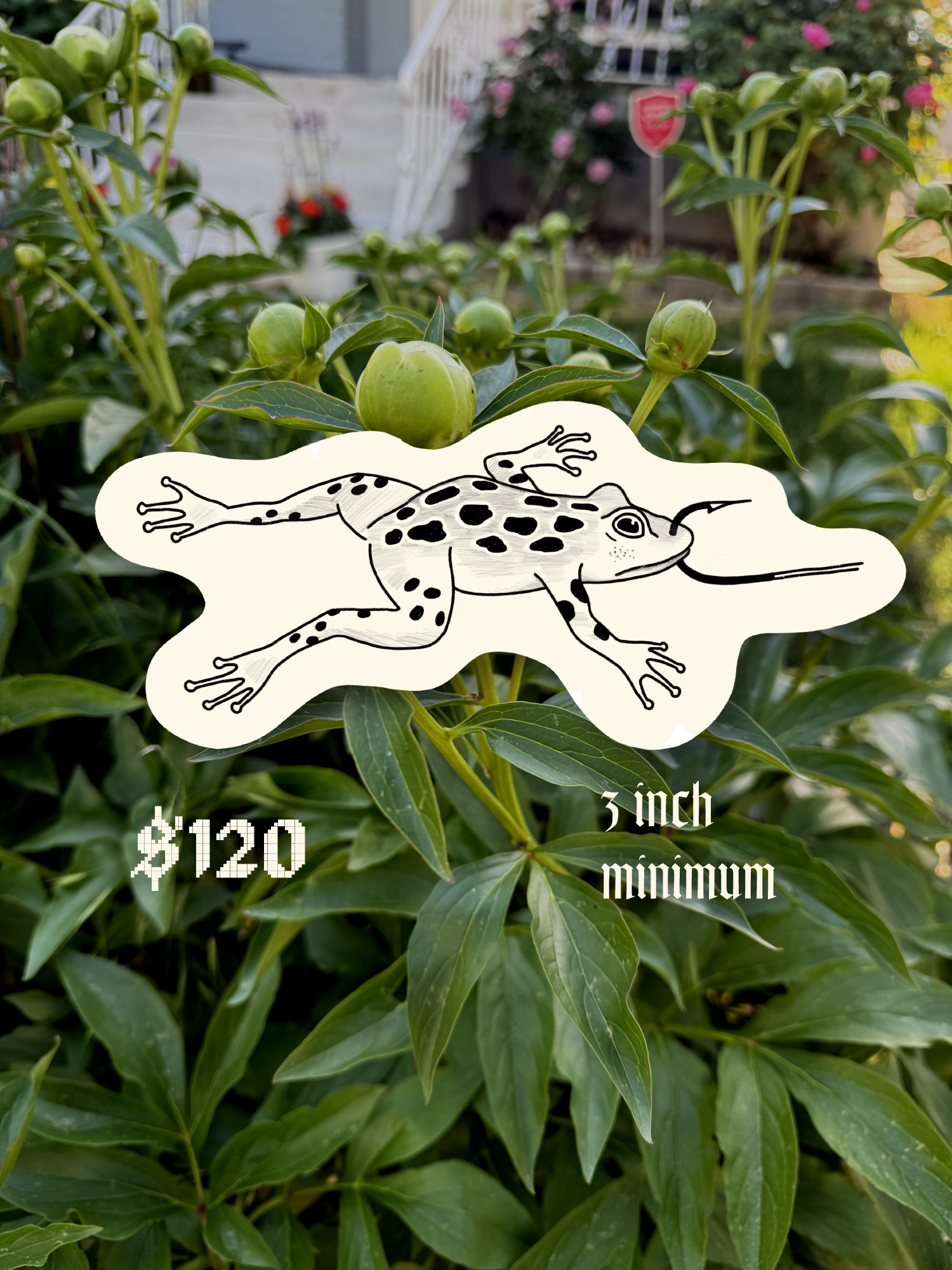 frog_hook.png