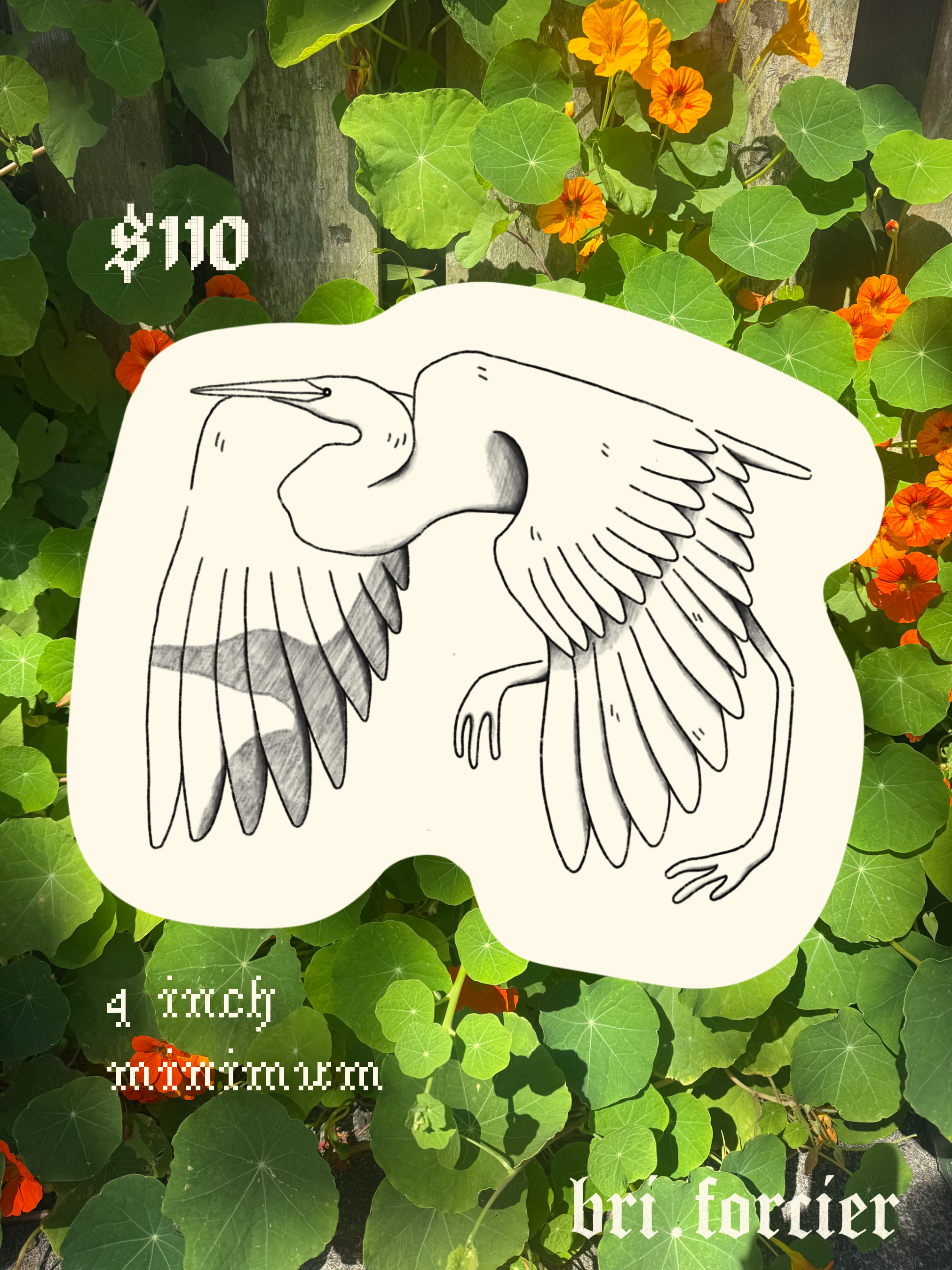 IMG_5321.png