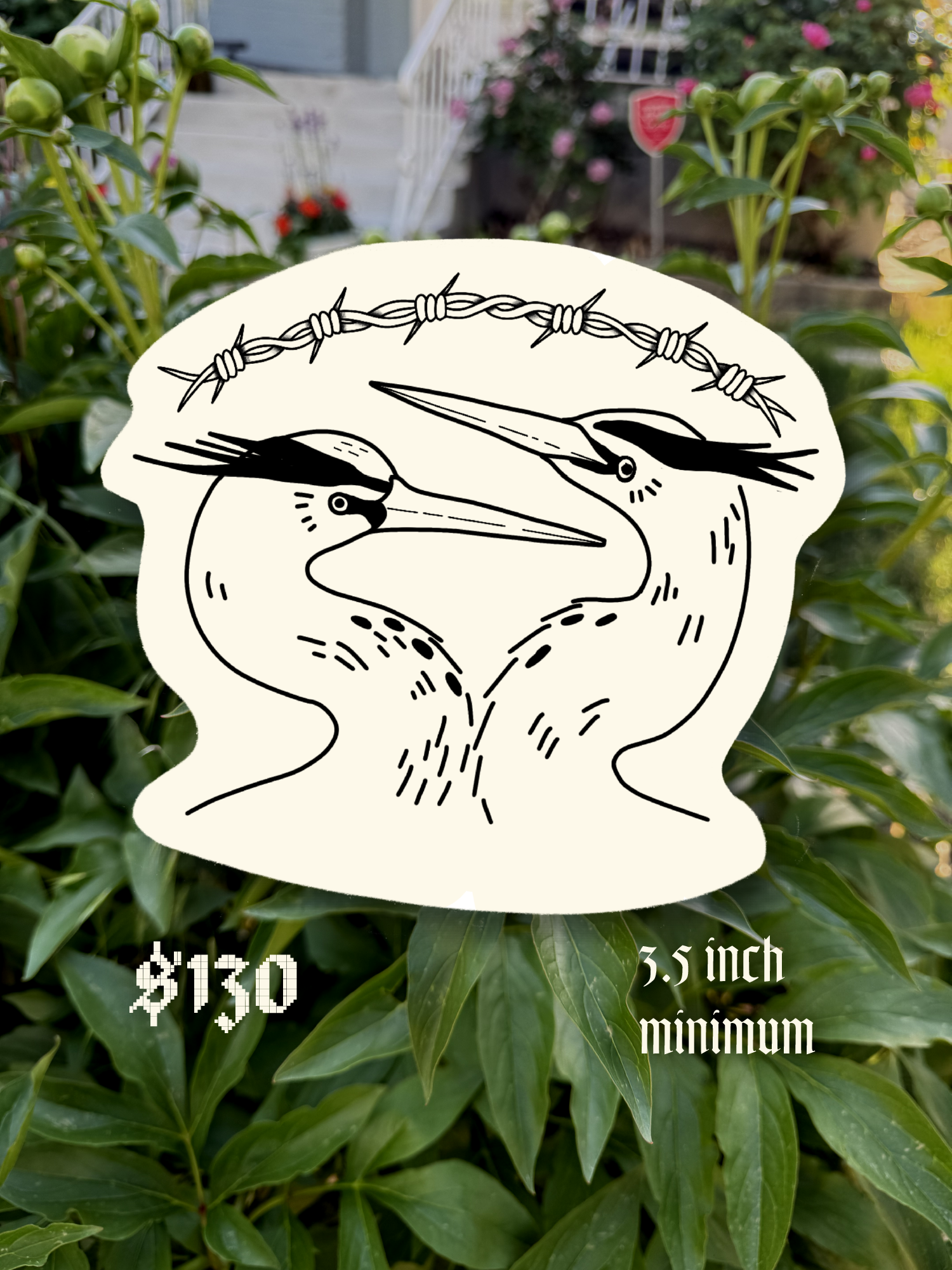 herons_barbedwire.png