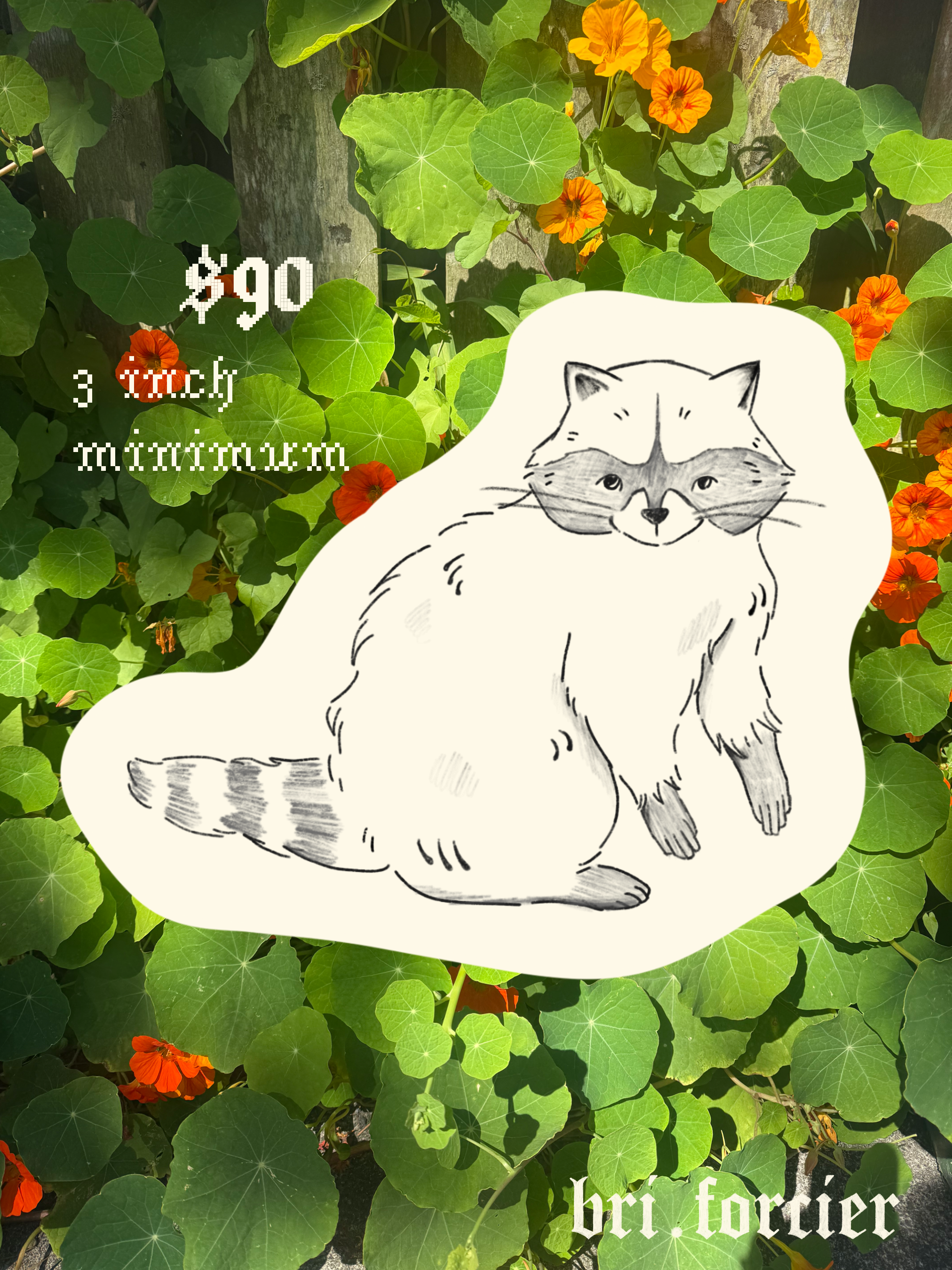 fsdf.png