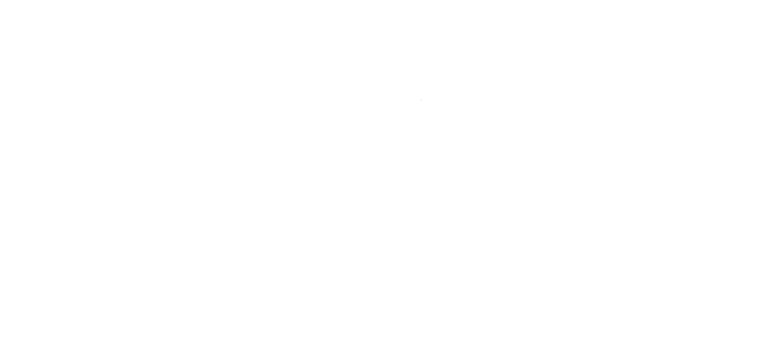 Capital Shears