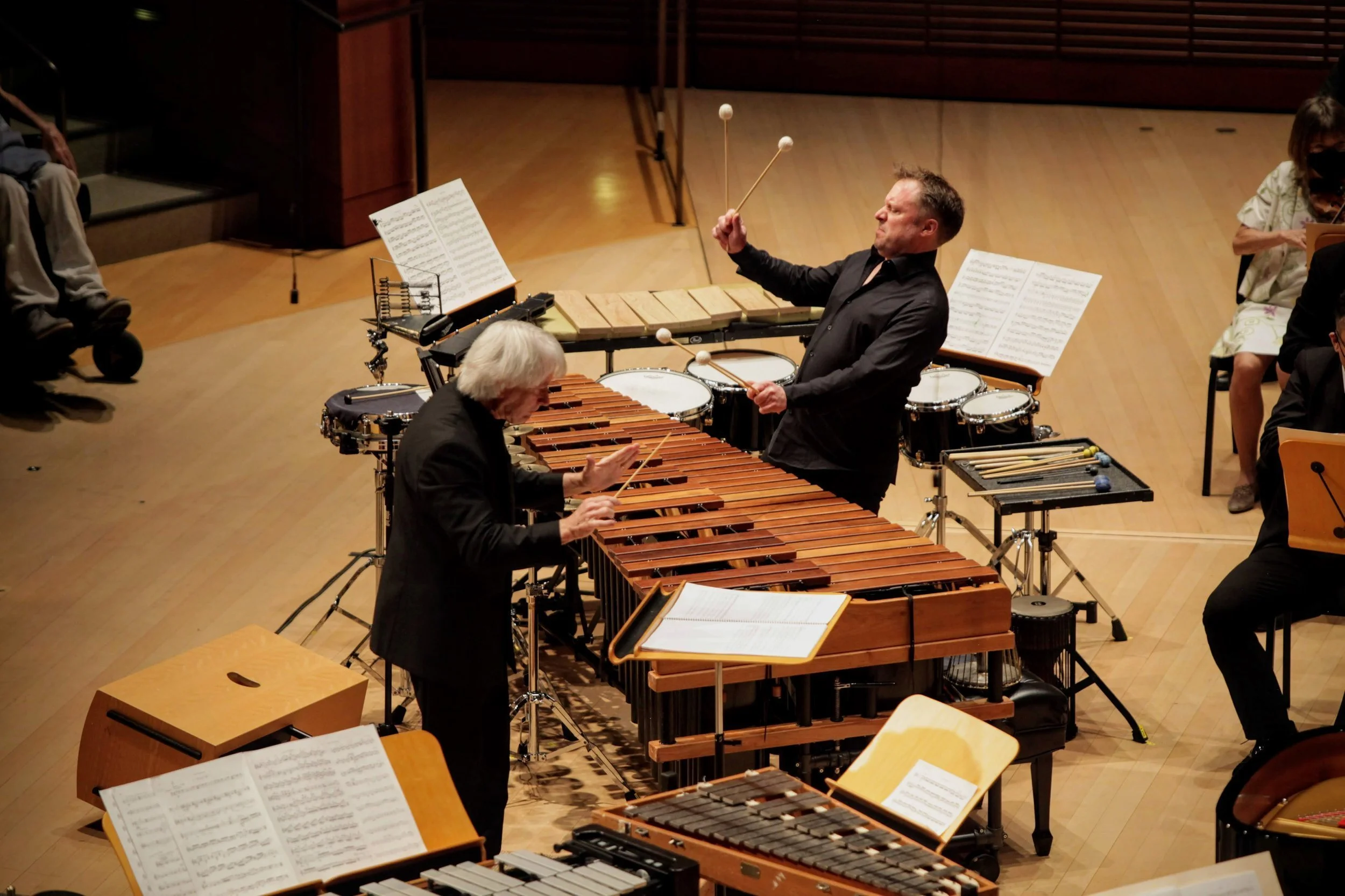 Percussion Concerto — Danny Elfman