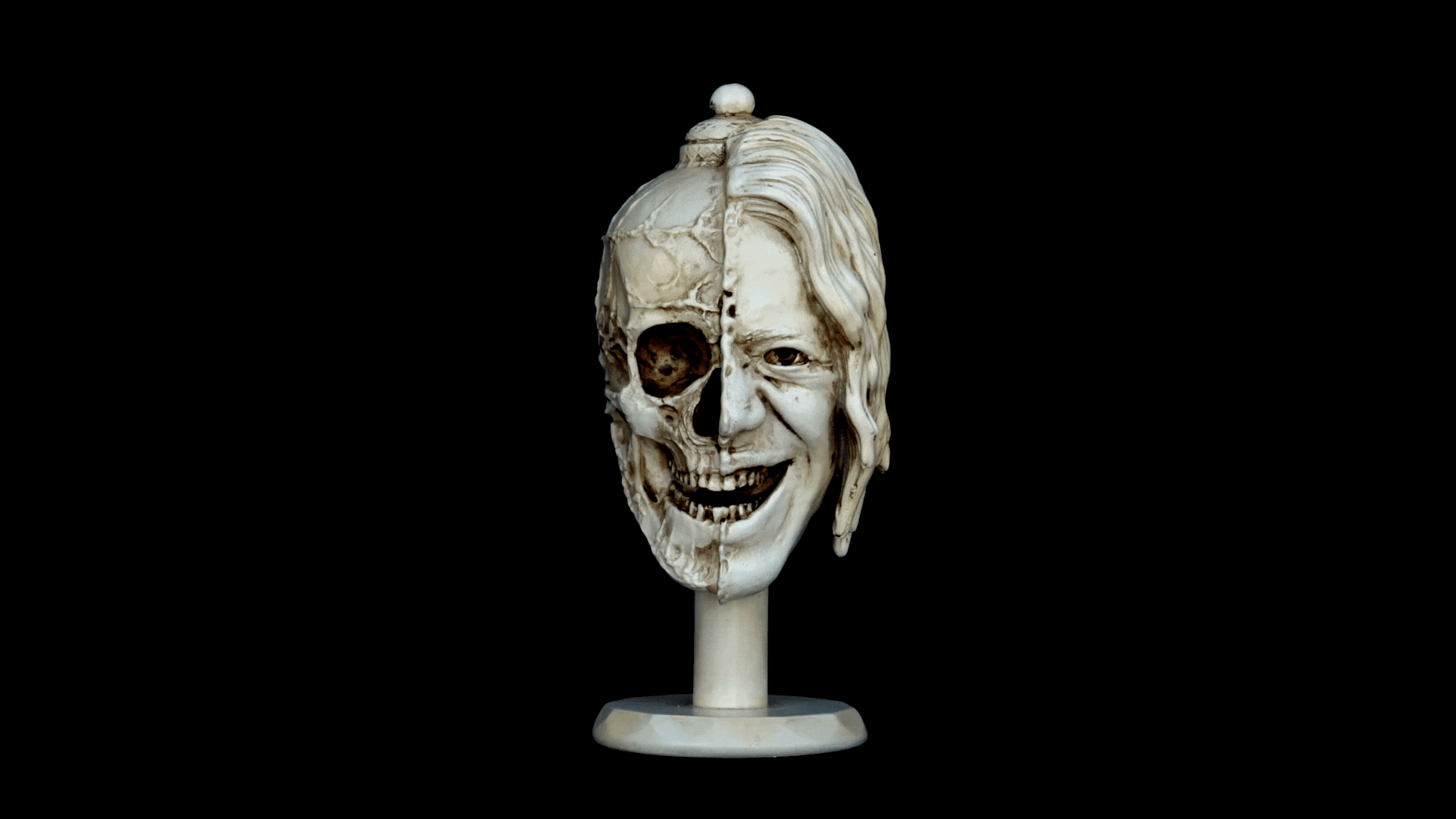 Large Ecorche.gif