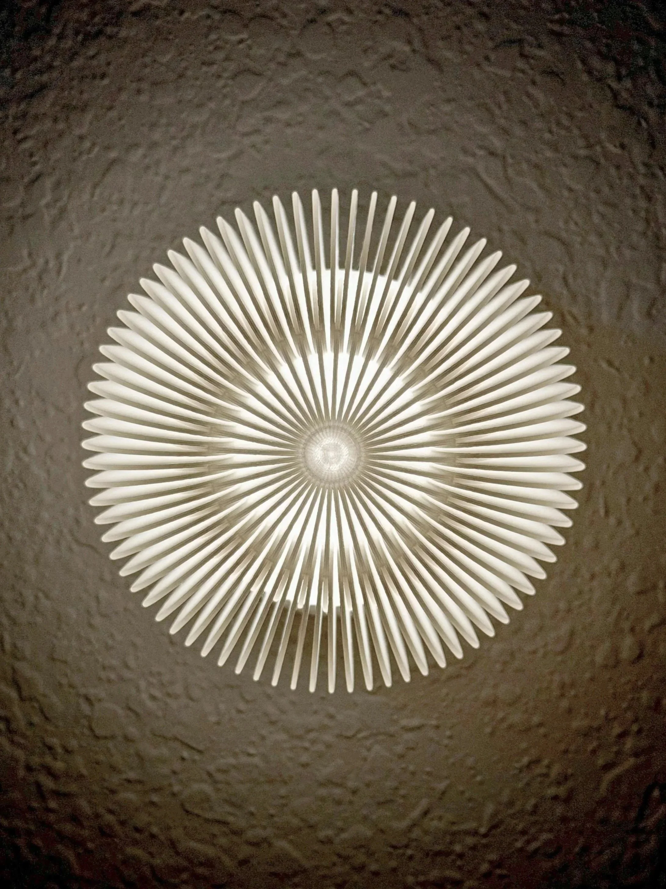 JELLYFISH%252B%2525281%252529.jpg