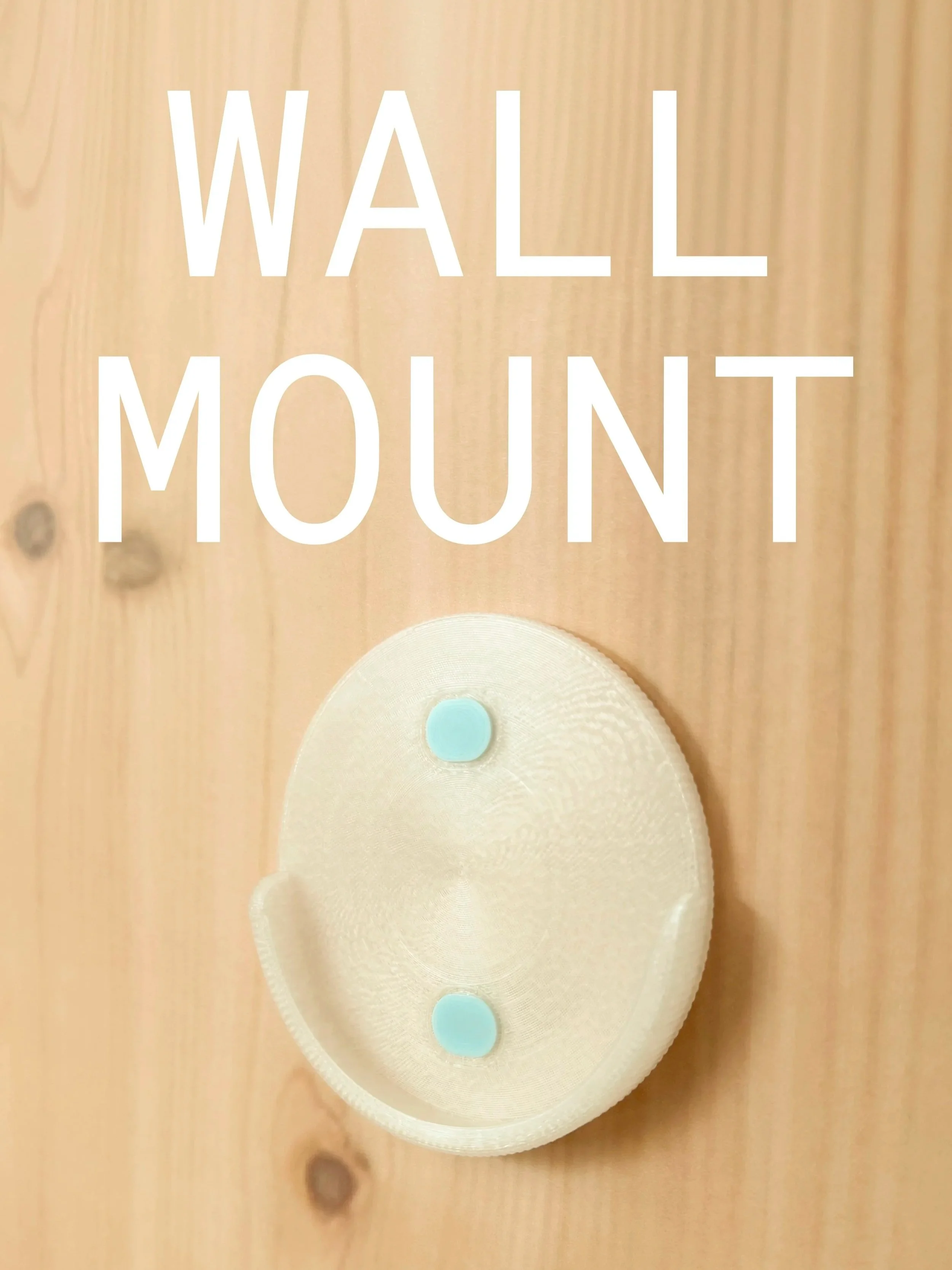 WALL_MOUNT.jpg