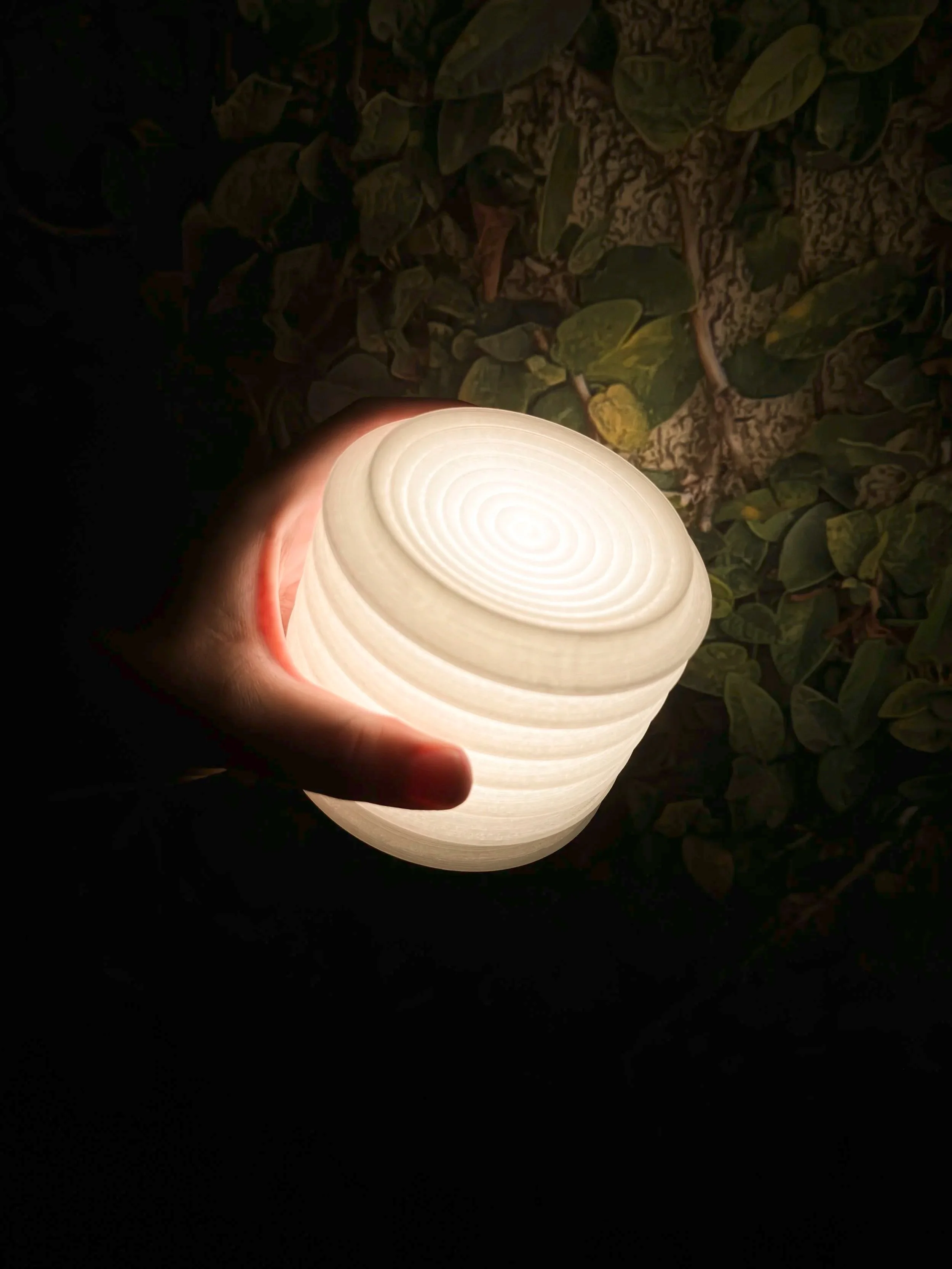 DISCS+%285%29.jpg