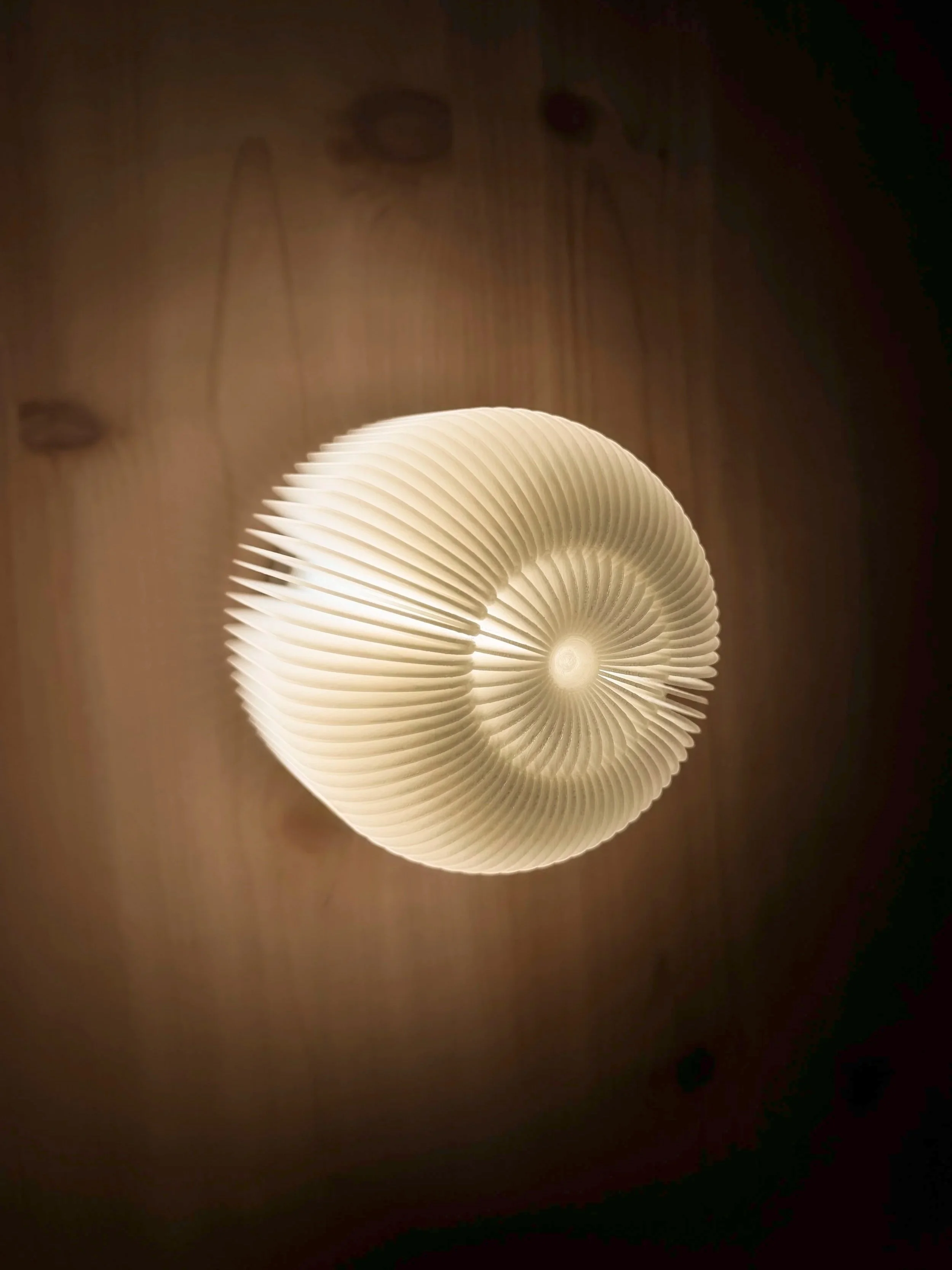 JELLYFISH+%282%29.jpg