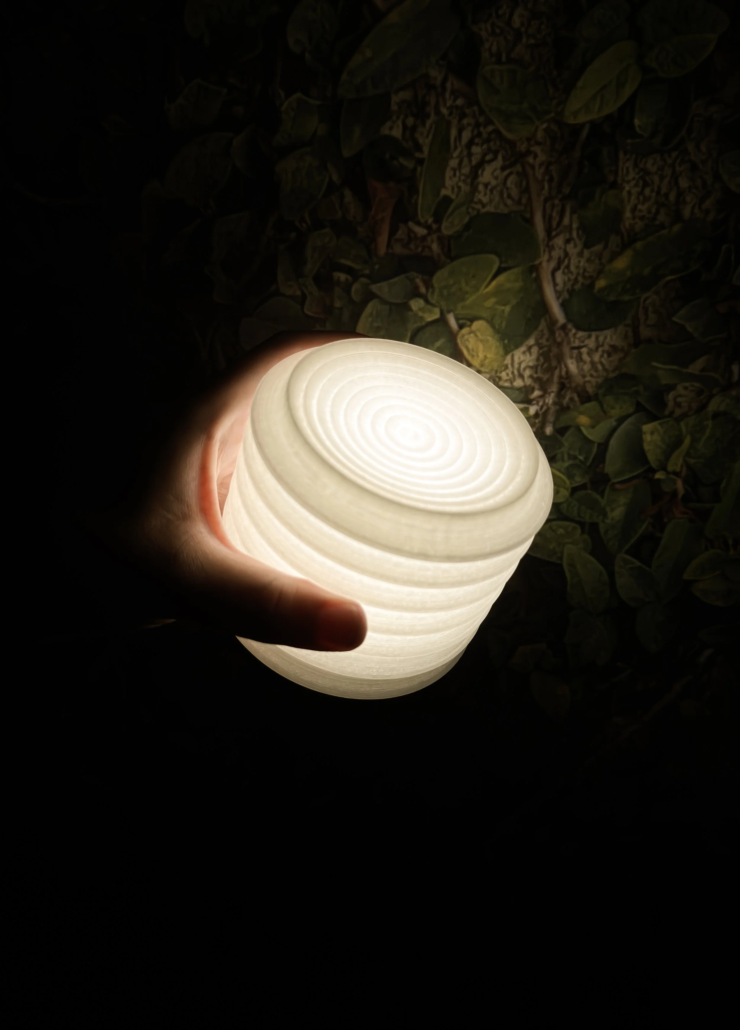 DISCS (5).jpg