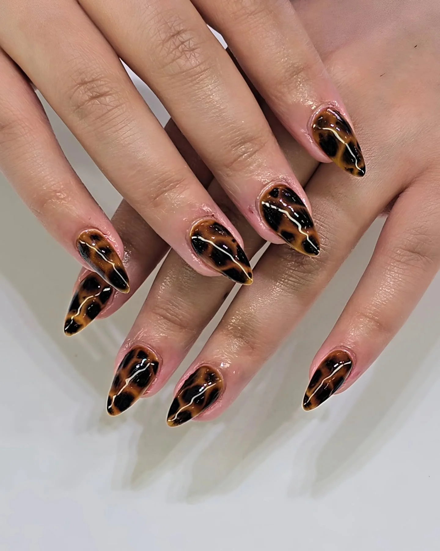 Tortoise shell season never ends 🤎🐢

📍 Jade Nail Bar / 729 1 Ave NE, Calgary, AB, T2E 0B8
📞 (403) 969-9263
🌐 Jadenailbaryyc.ca

#yycnailsalon #yycnails #yycnailart #nails #nailart