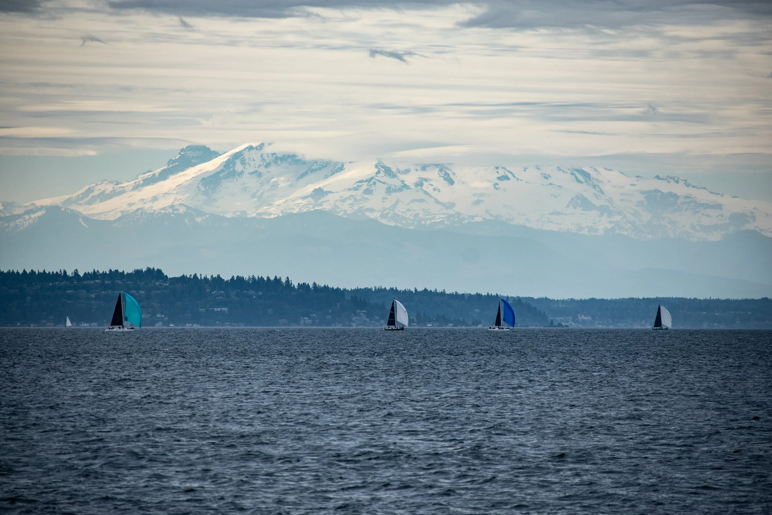 DSC_4570.jpg