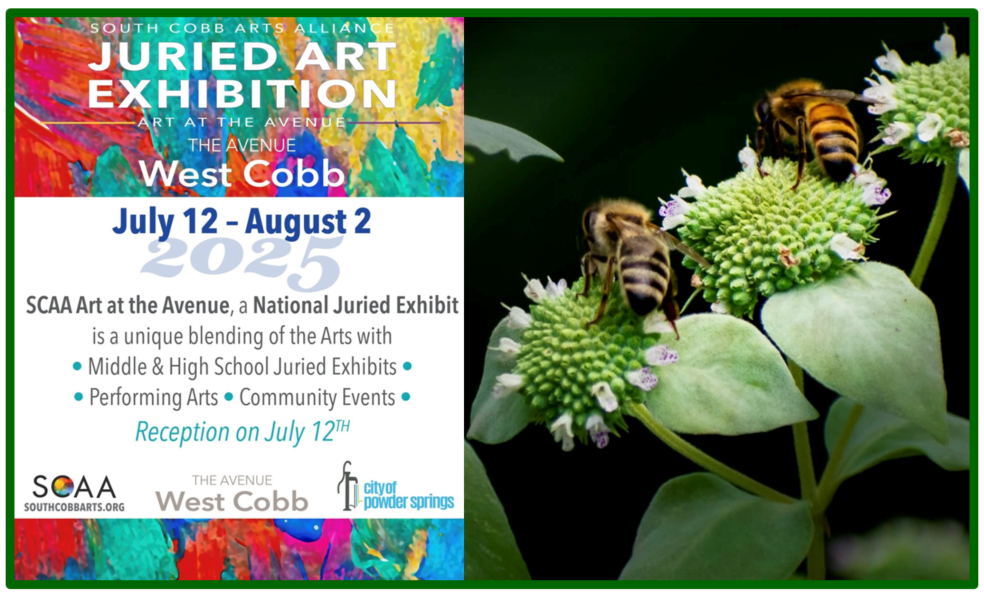 Art at the Avenue SCAA National Juried Exhibit