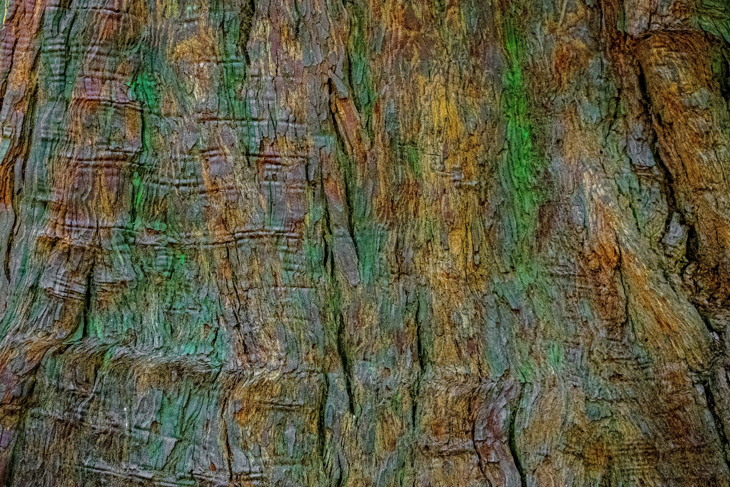 DSC_3522.jpg