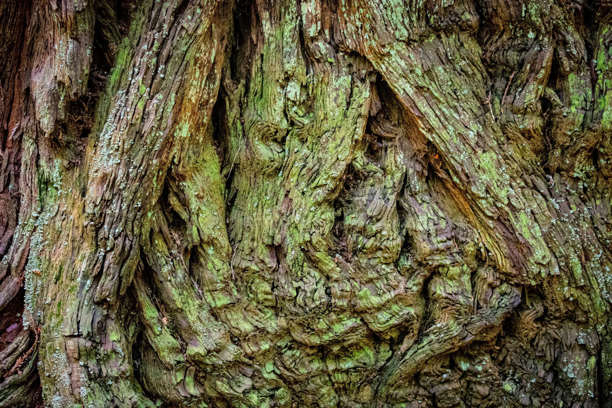 DSC_3551.jpg
