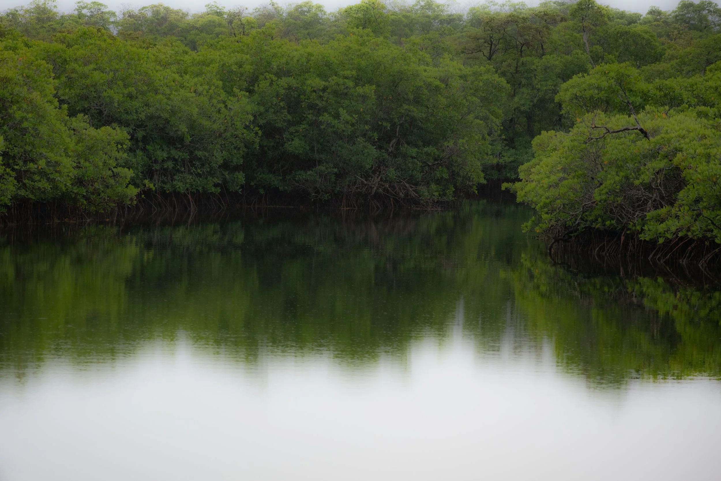 DSC_7521.jpg