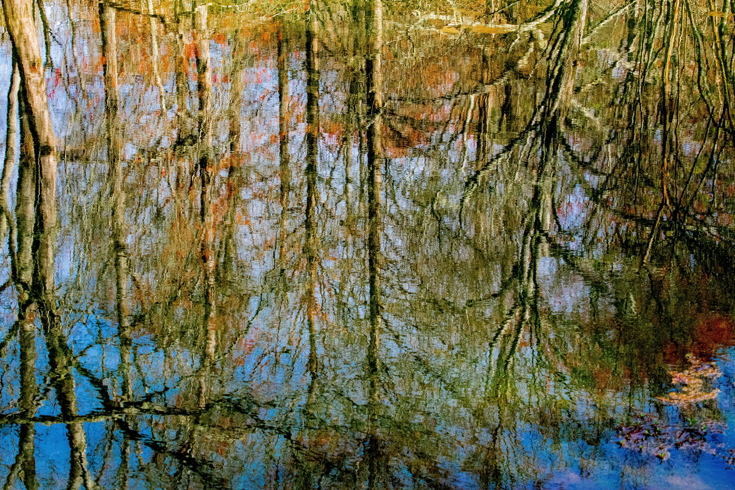 DSC_9179.jpg