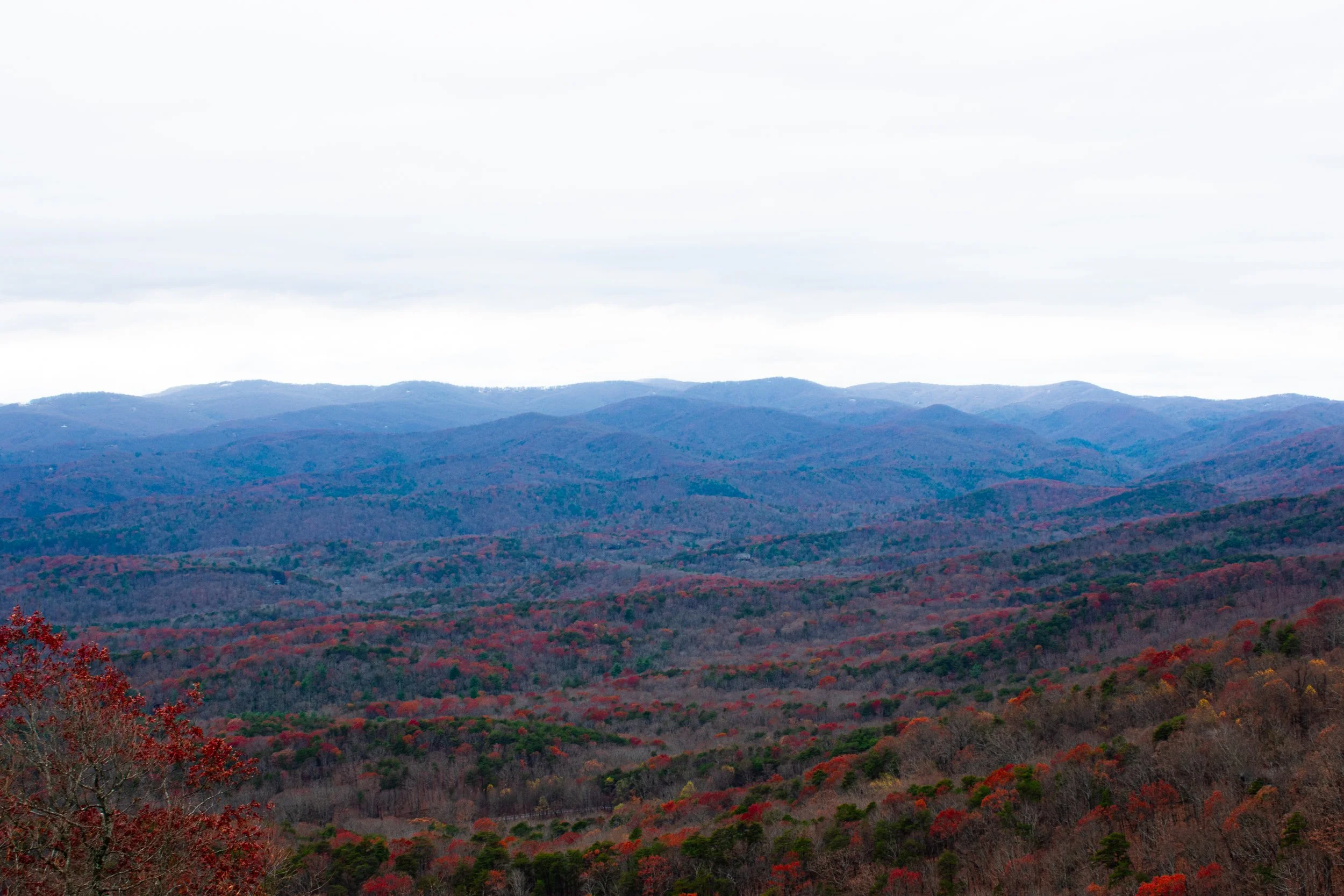 DSC_7357.jpg