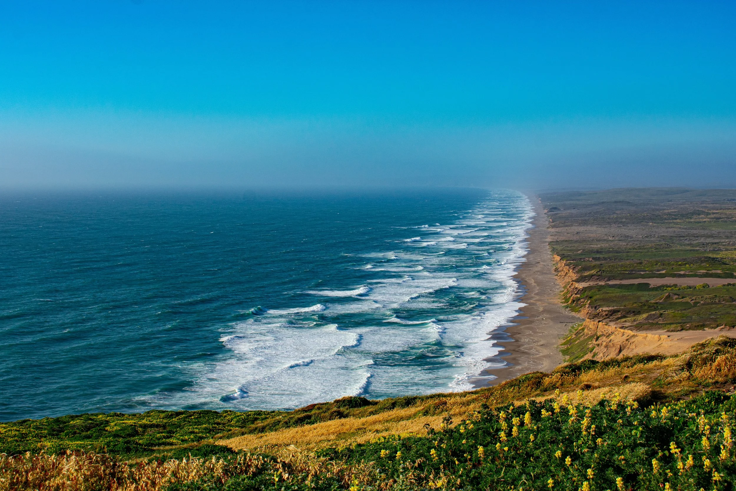 DSC_3607.jpg