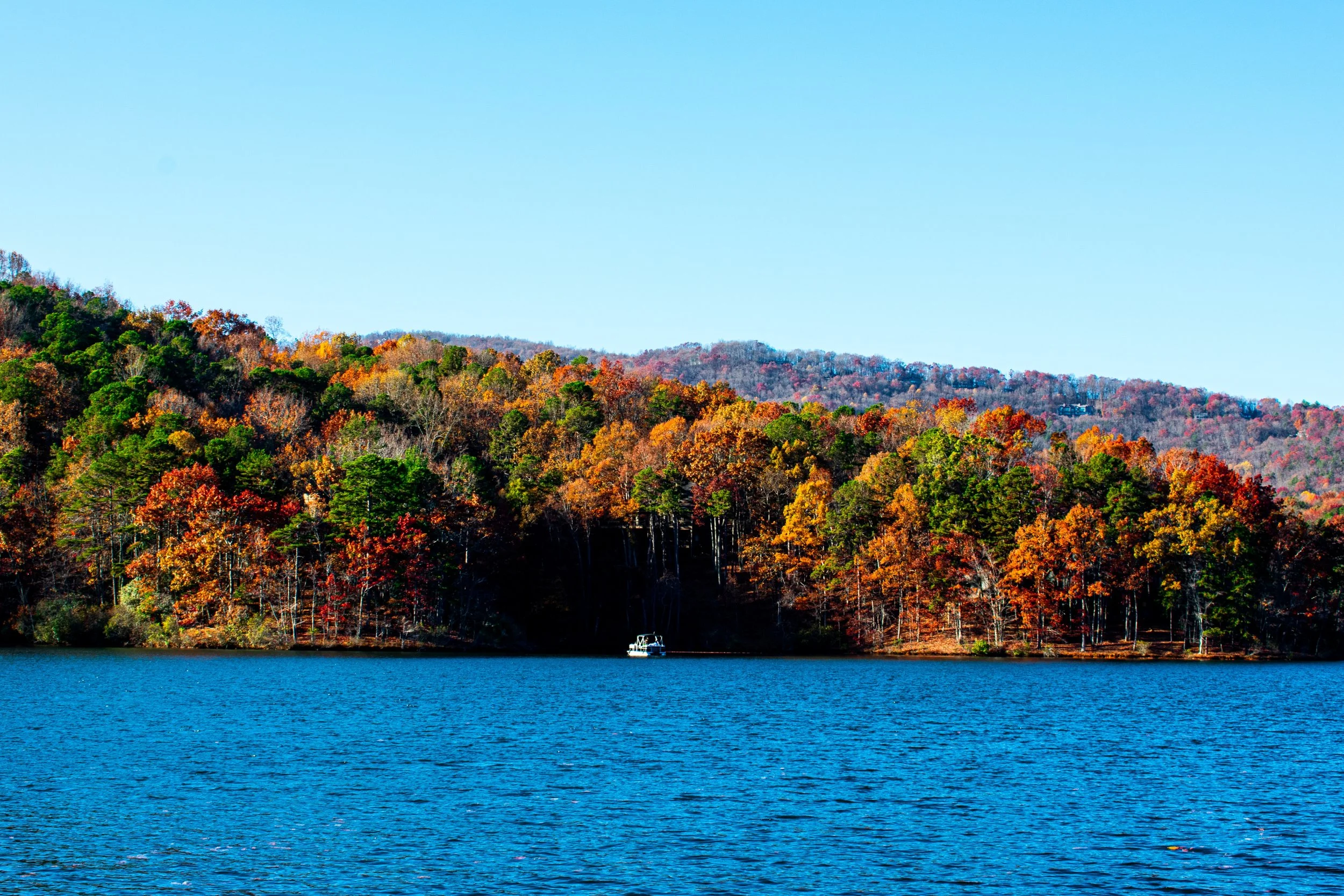 DSC_6664.jpg