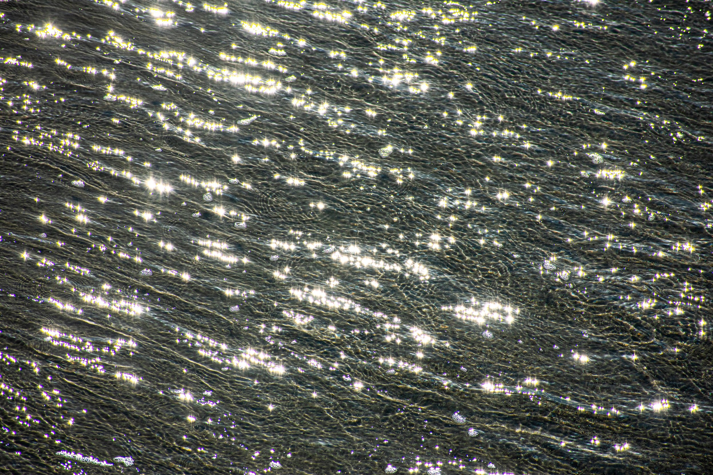 DSC_4926.jpg