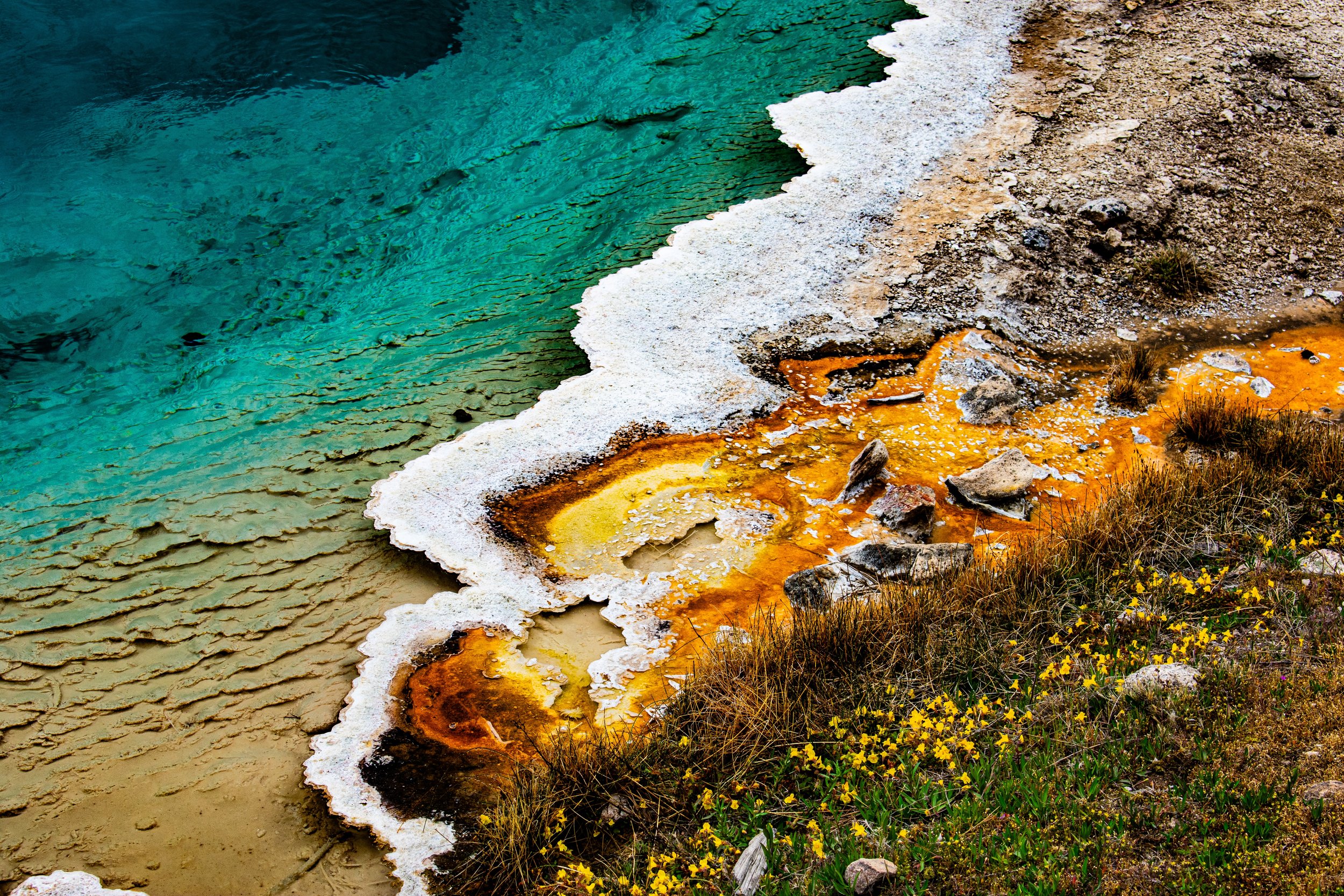 The Texture of Nature.jpg