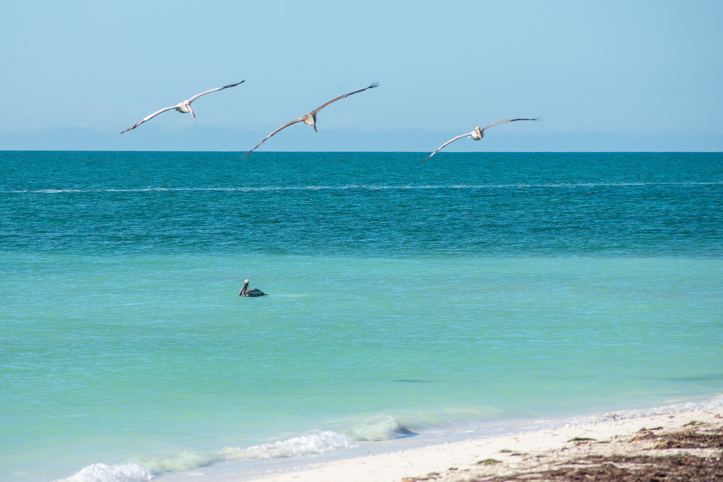 DSC_7837.jpg