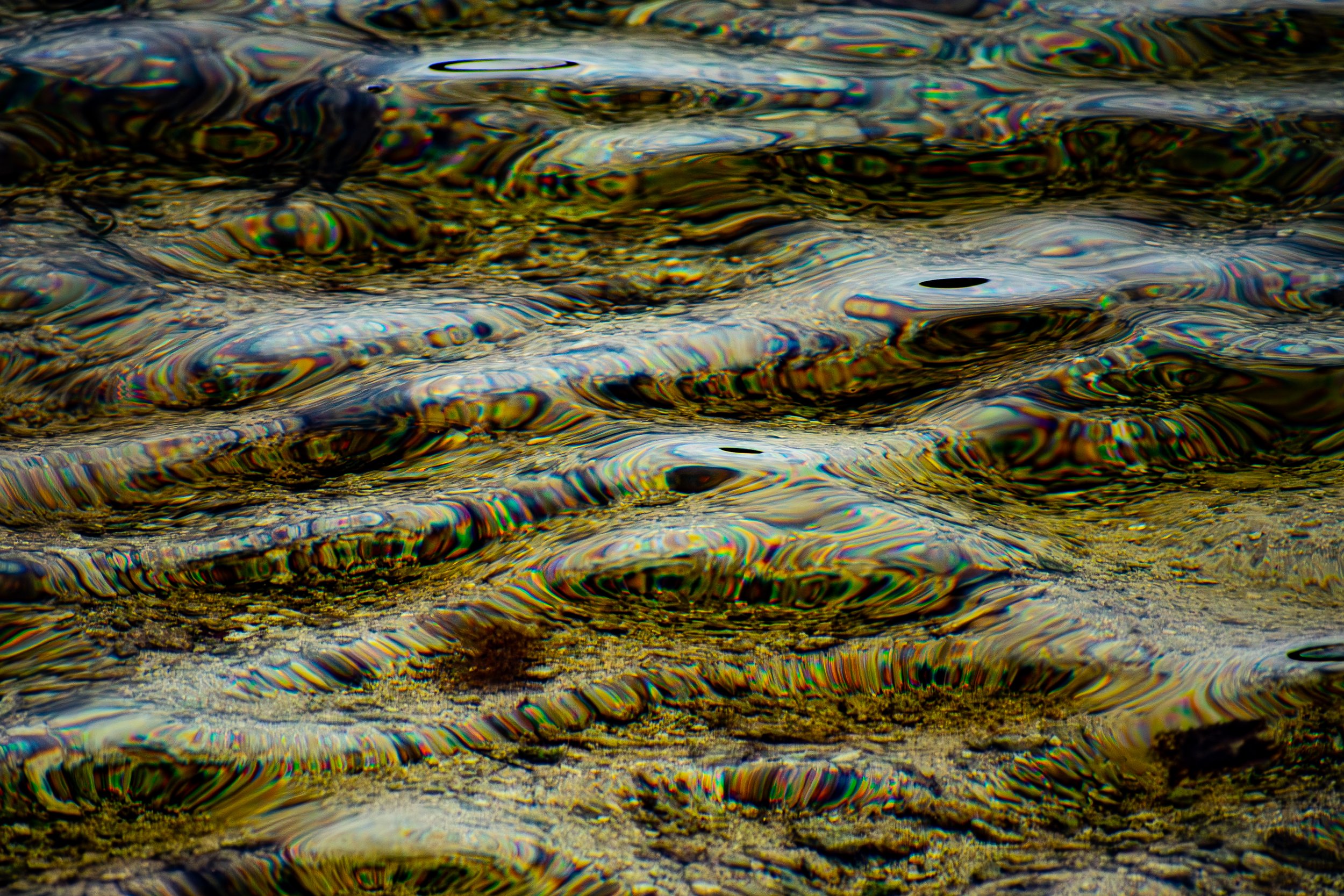 DSC_7578-Enhanced-NR.jpg