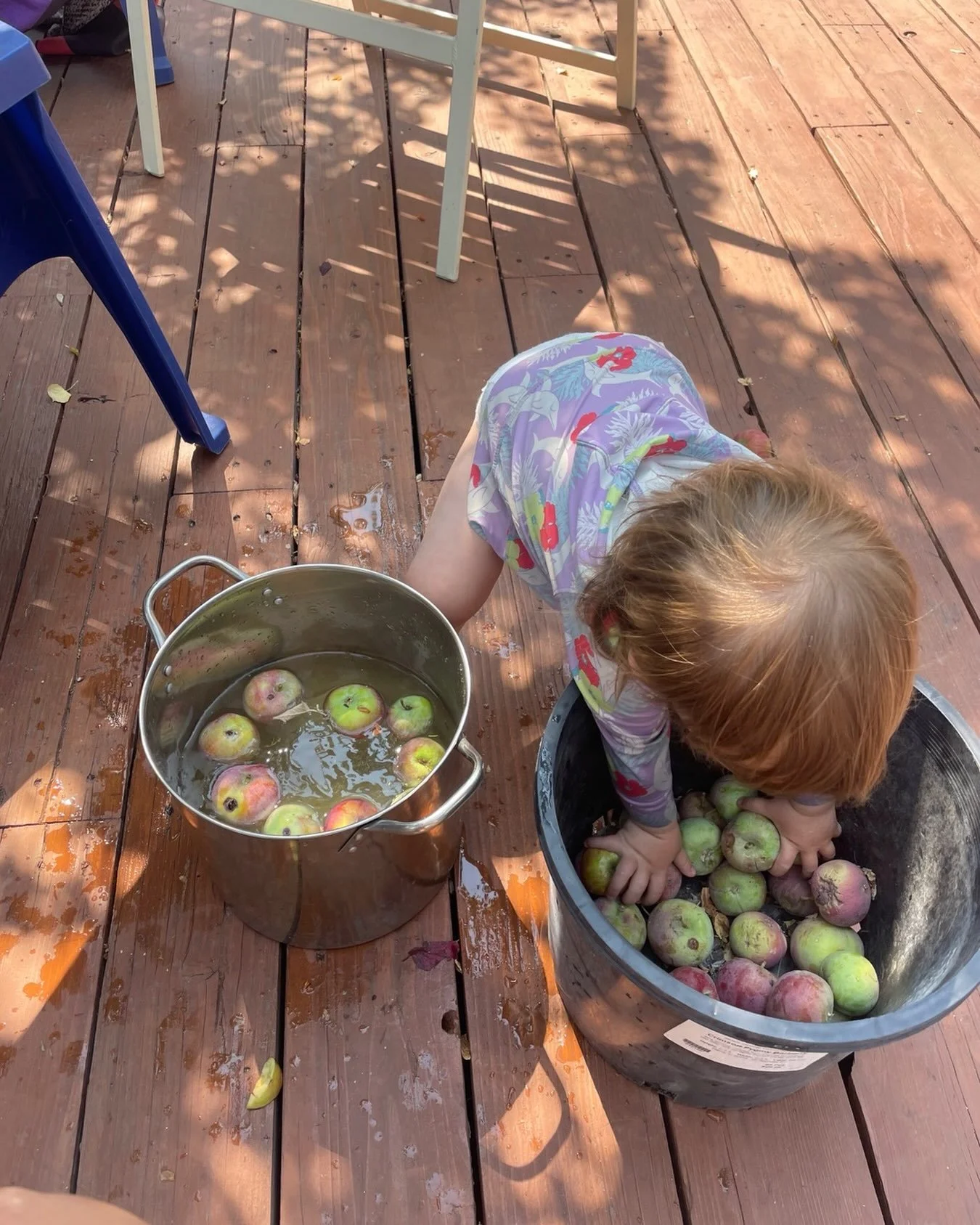 The ultimate fall sensory experience&mdash;washing apples from the neighbor&rsquo;s tree!