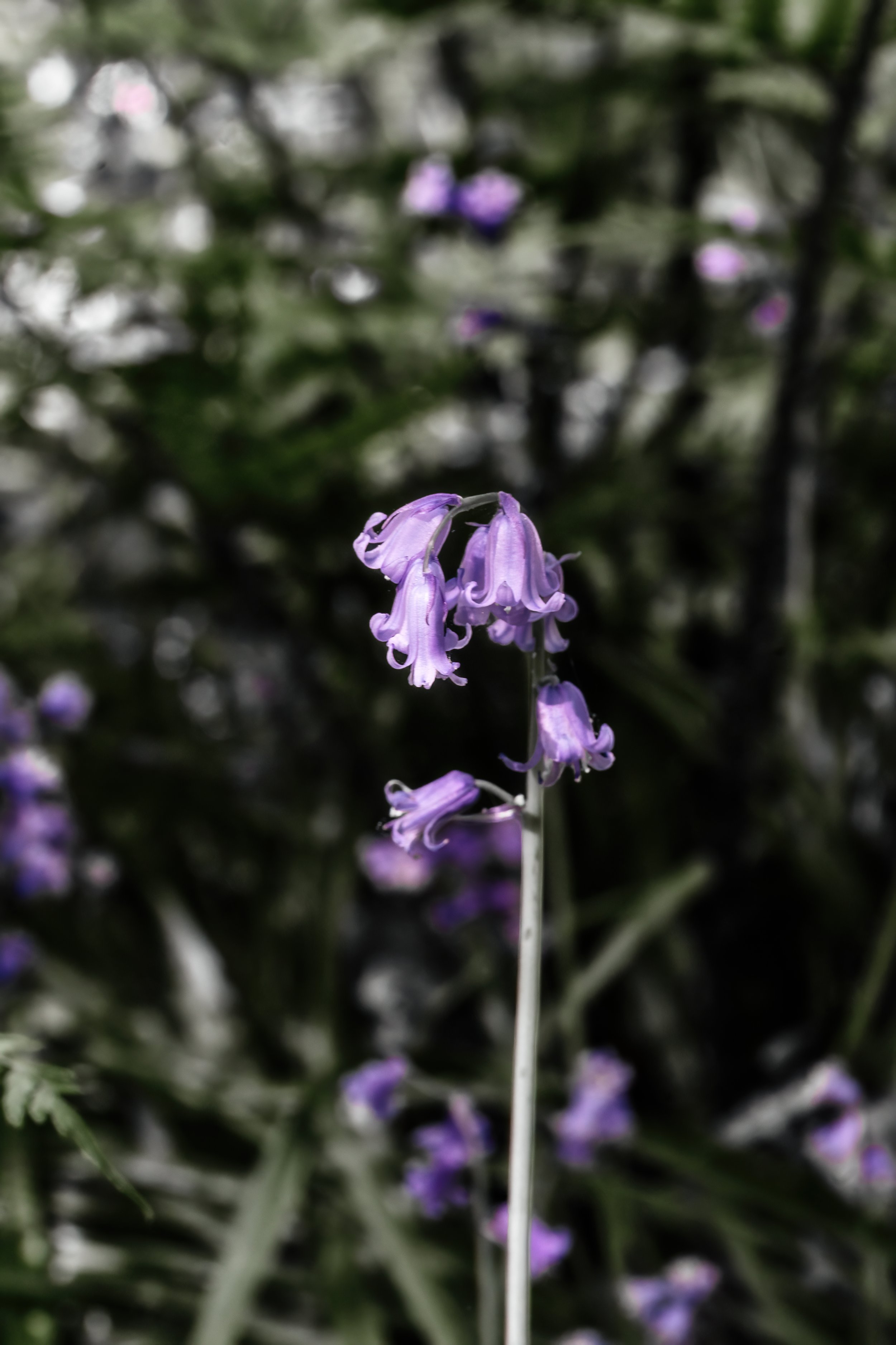 DSC00197-Edit.jpg
