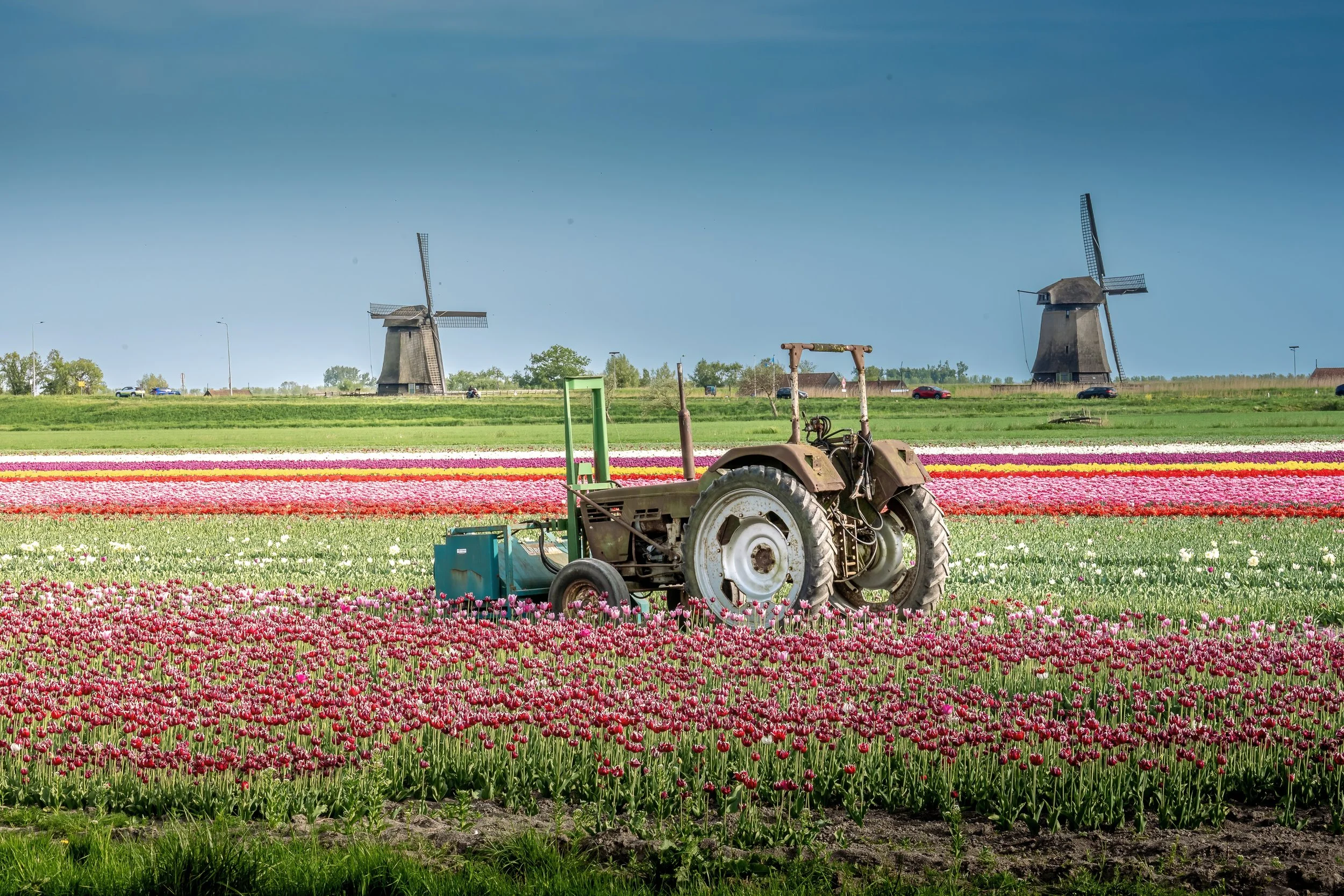 DSC00069.jpg
