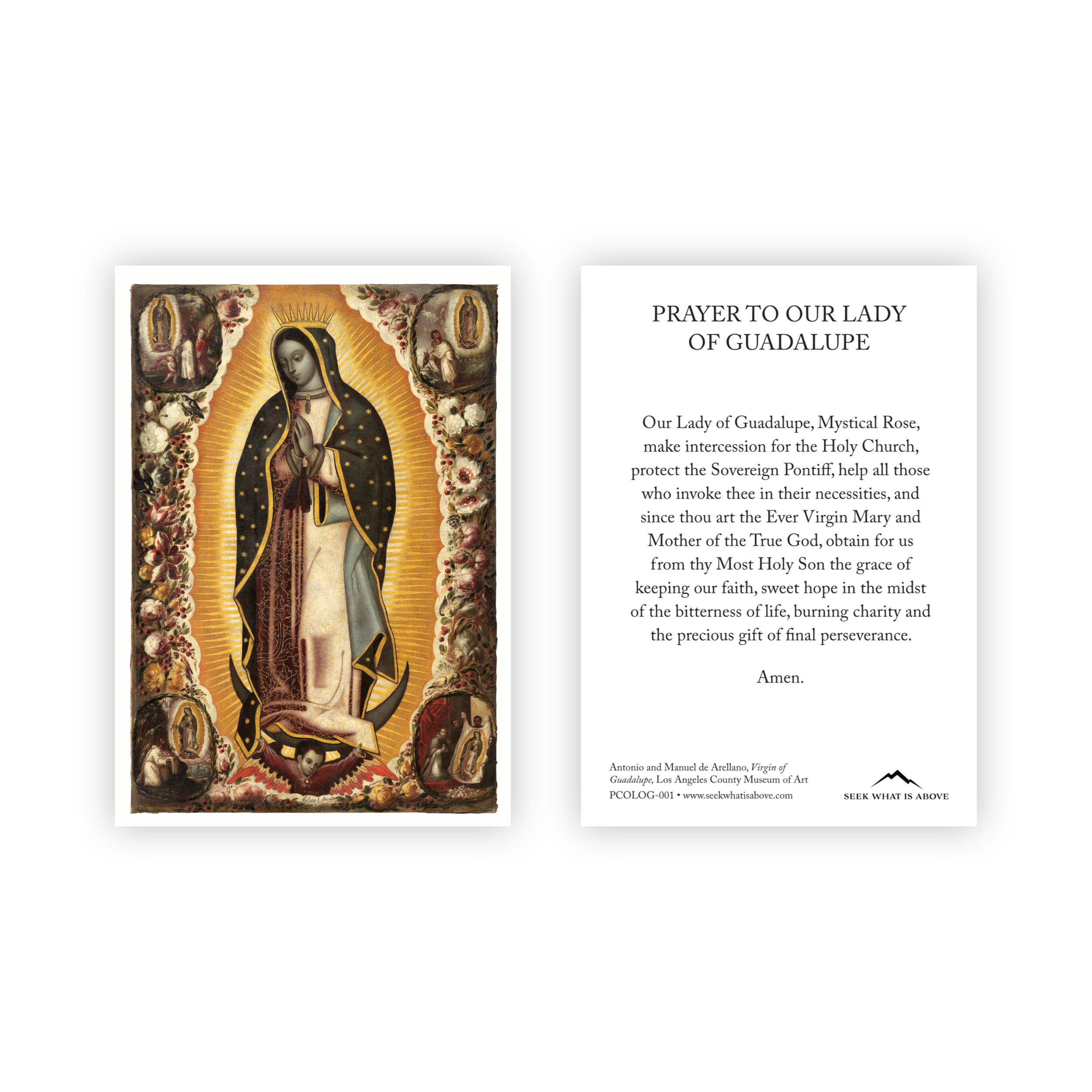 Prayer to Our Lady of Guadalupe (English) | Catholic Prayer Card