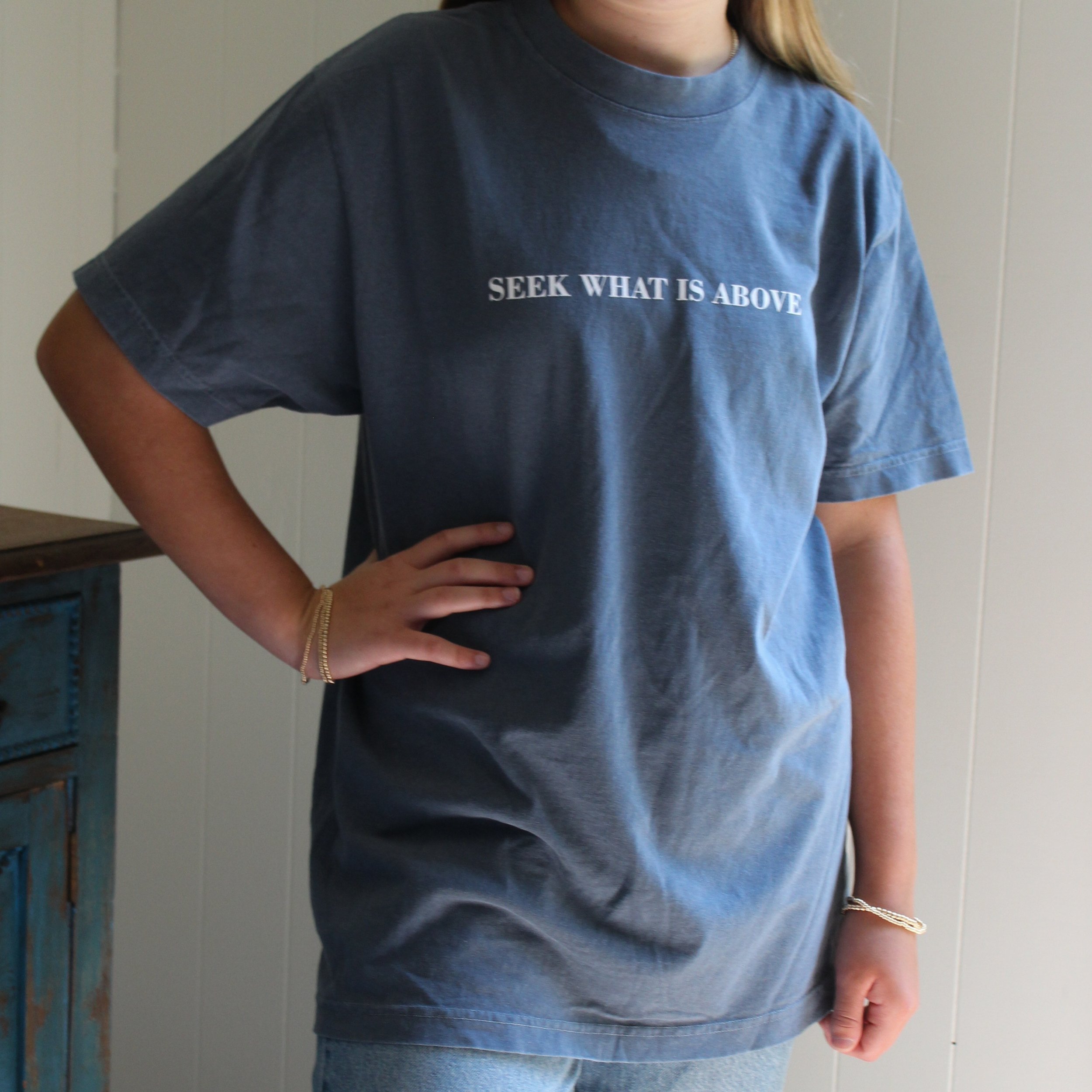 Seek What Is Above 100% Cotton T-Shirt