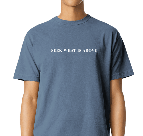 Seek What Is Above Simple T-Shirt