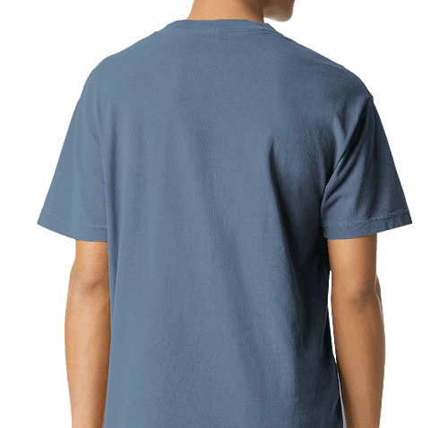 SWIA simple tee back.png