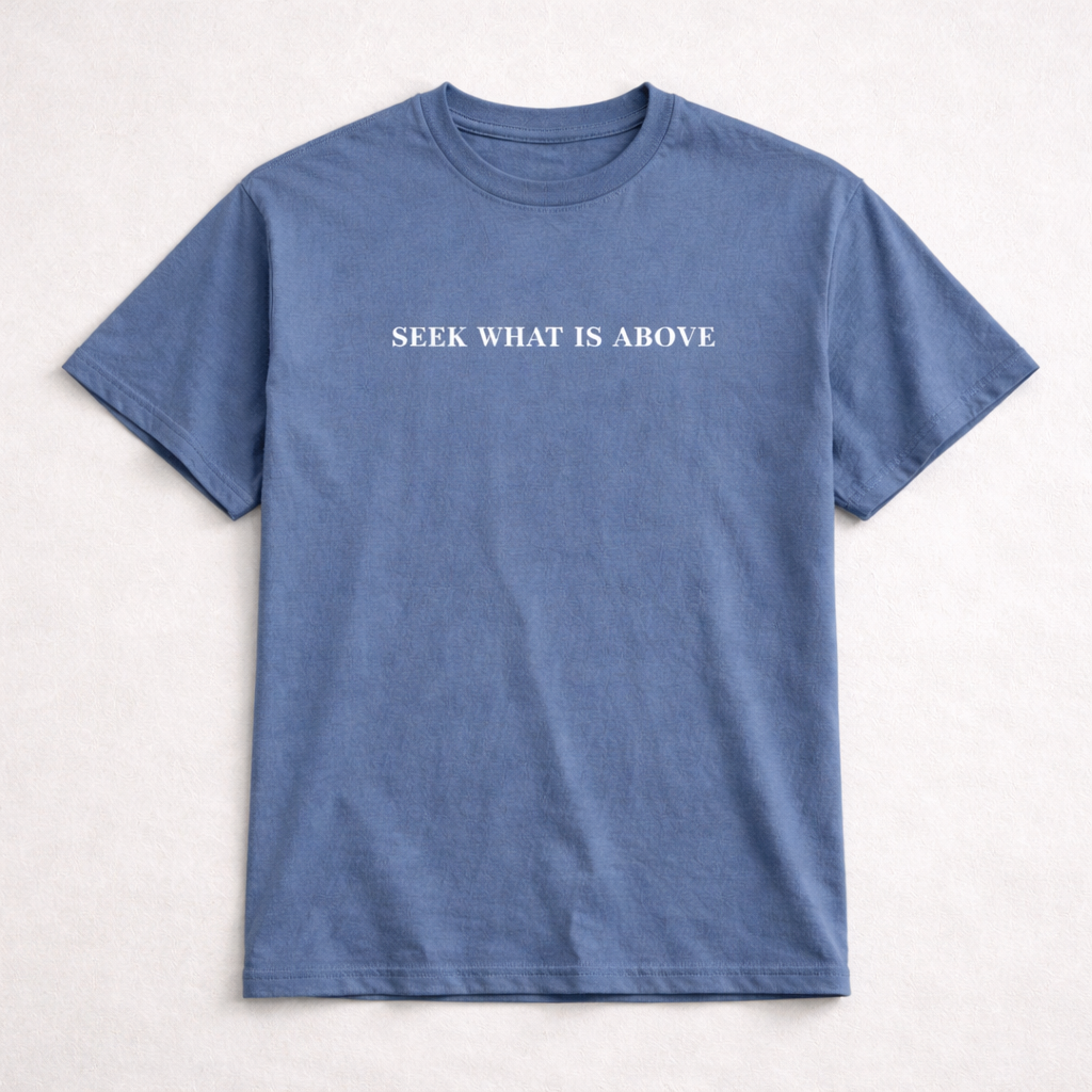 Seek What Is Above 100% Cotton T-Shirt