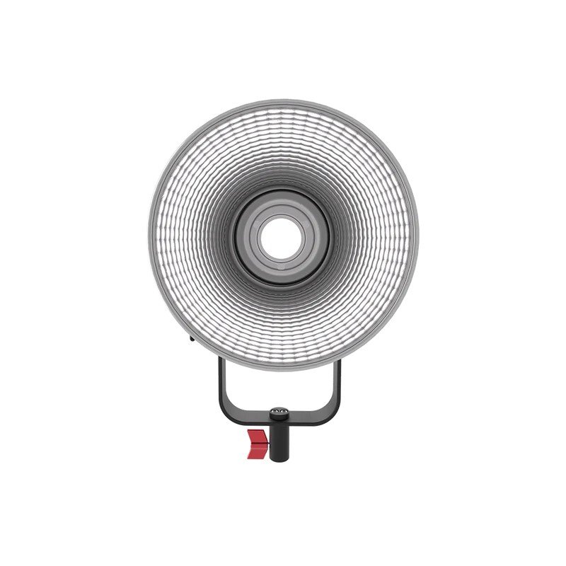 LS300dII-5.jpeg
