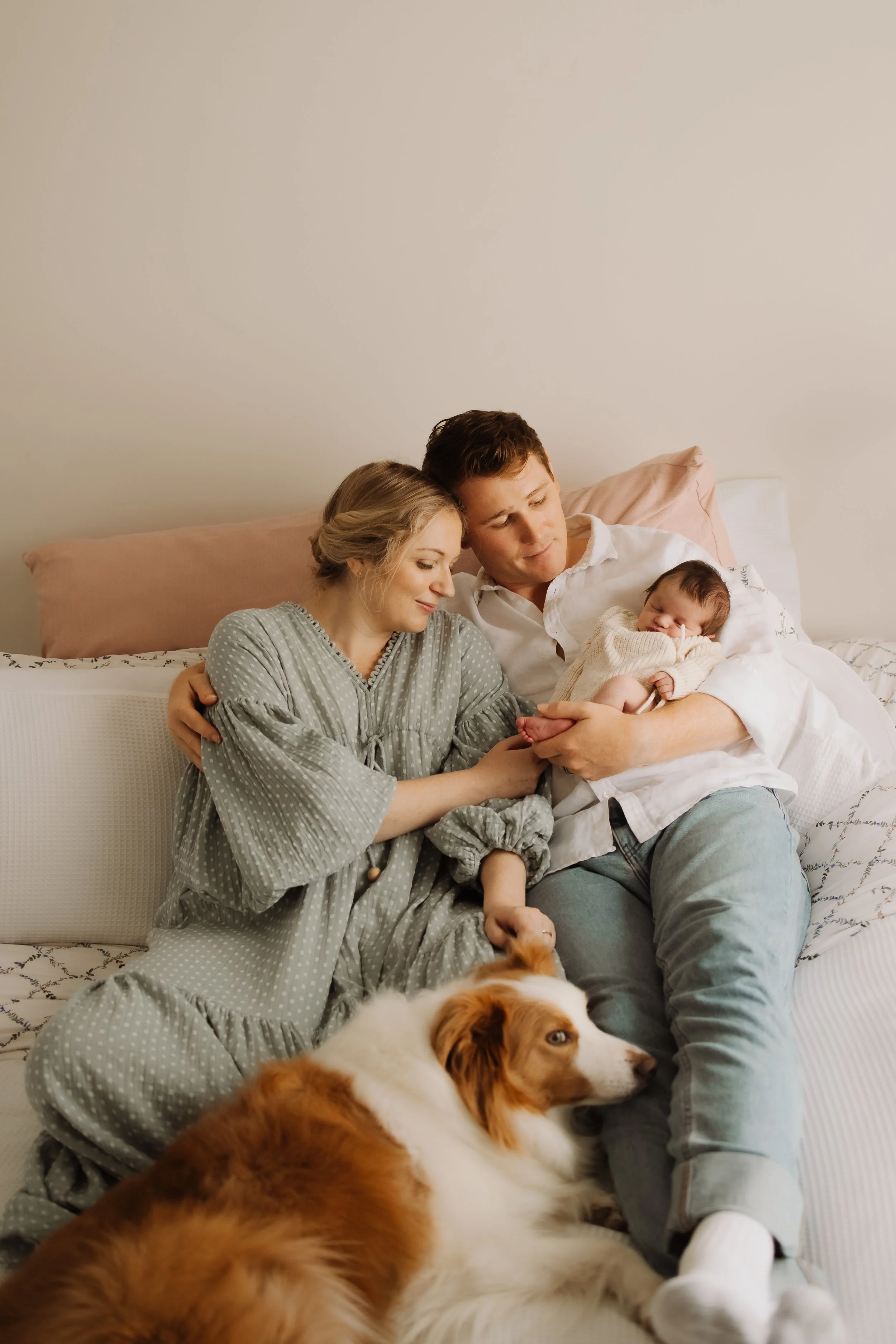 A family of three sitting on a bed with their dog, a newborn baby, and the baby is swaddled in a blanket at their in home newborn photoshoot, Adelaide.