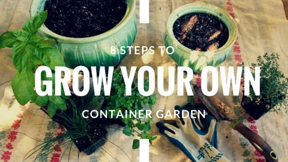 8 Steps to Grow Your Own Container Garden — Kauai Seascapes Nursery