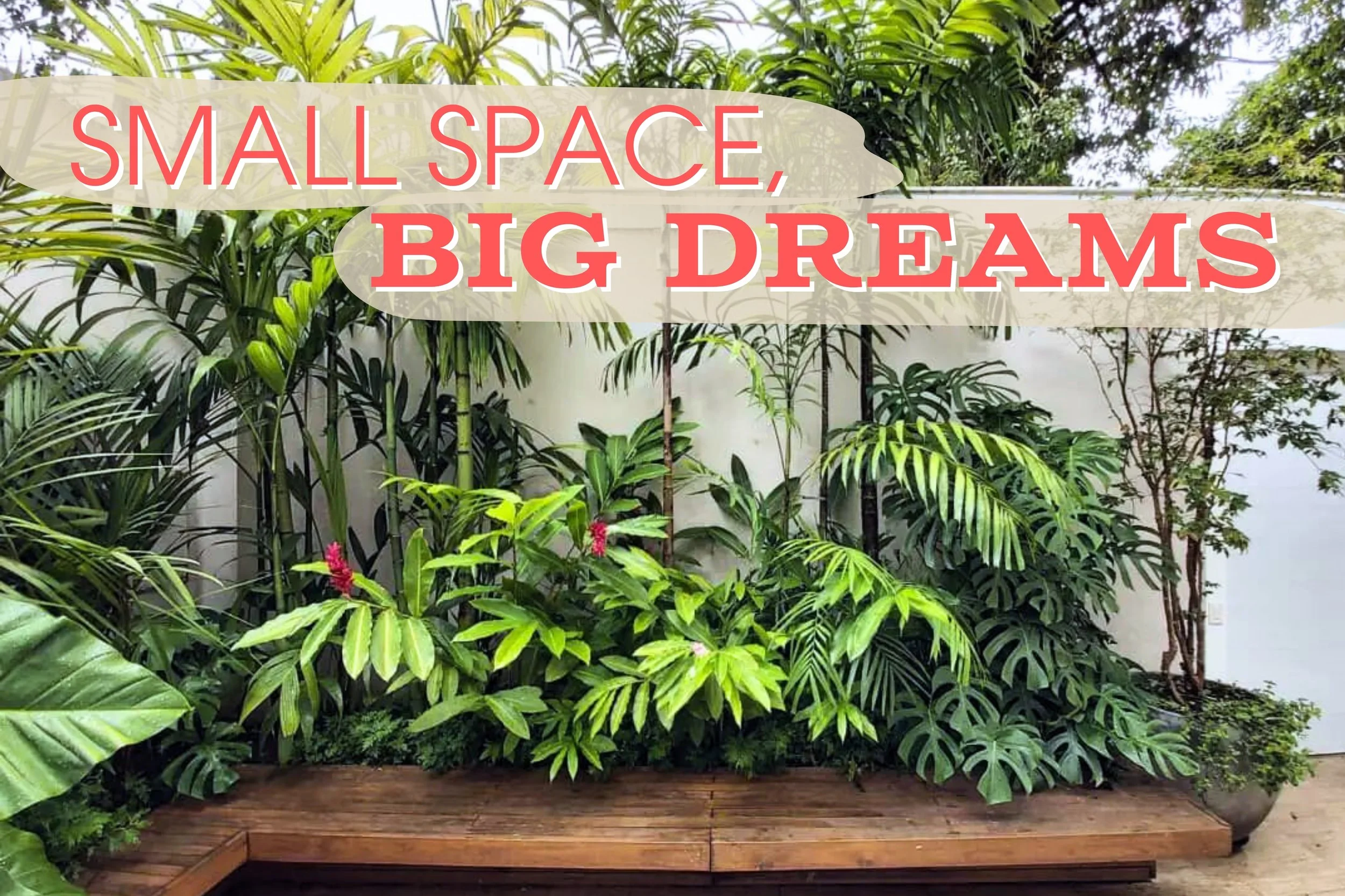 Small Space, Big Dreams