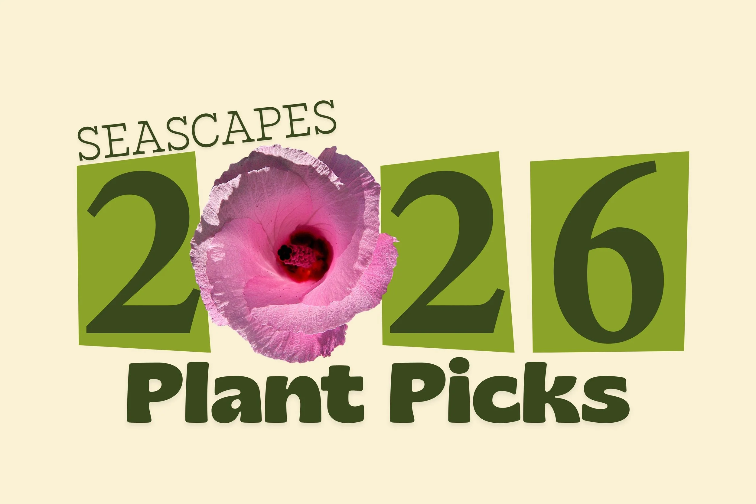 Seascapes 2026 Plant Picks!