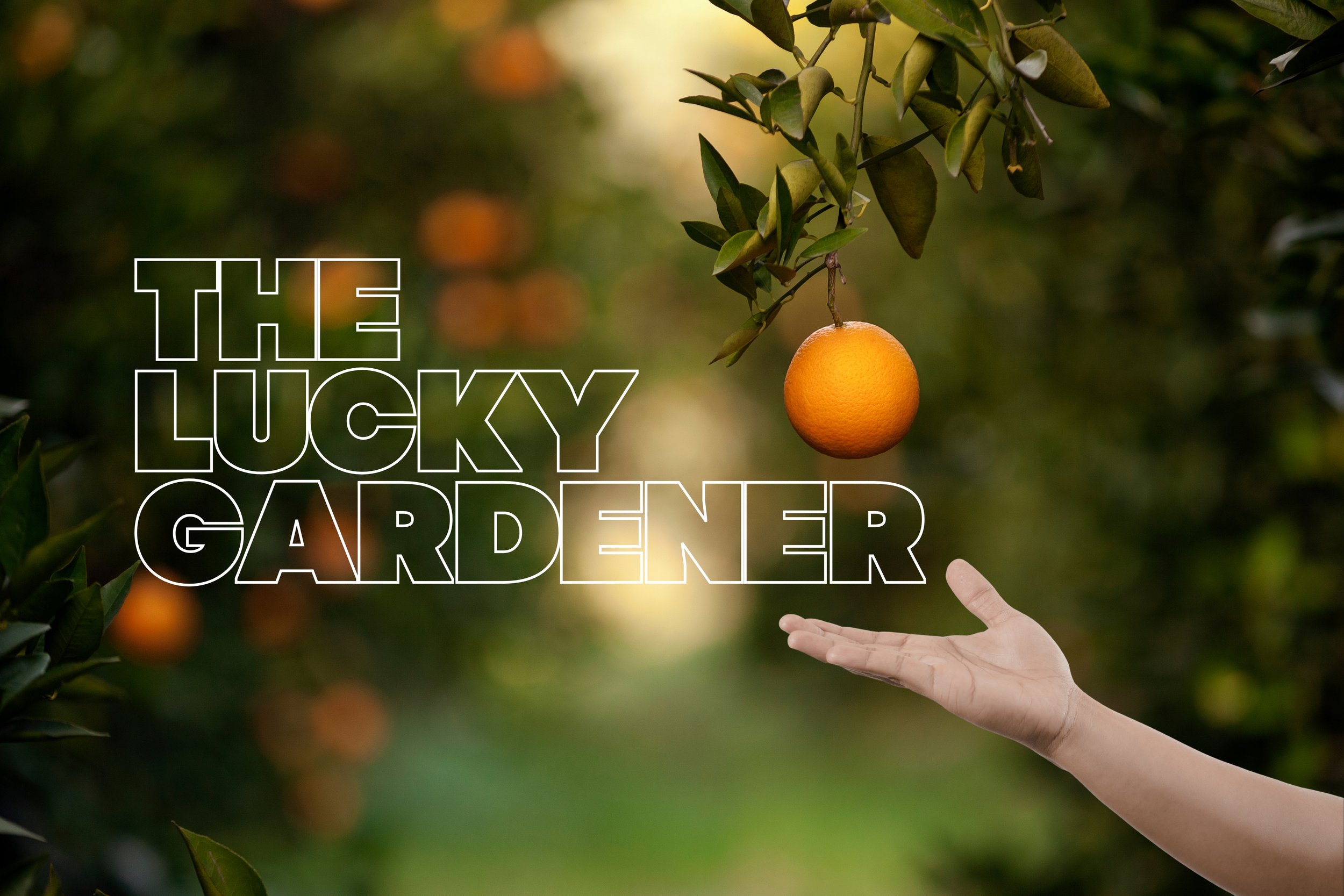 The Lucky Gardener