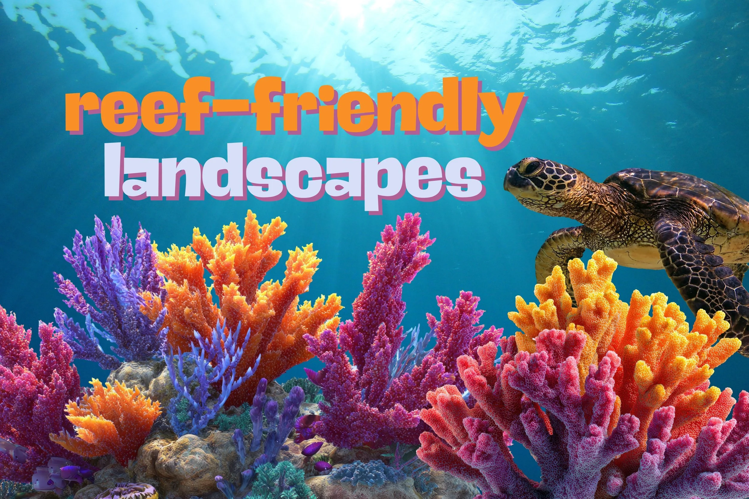 Reef-Friendly Landscapes