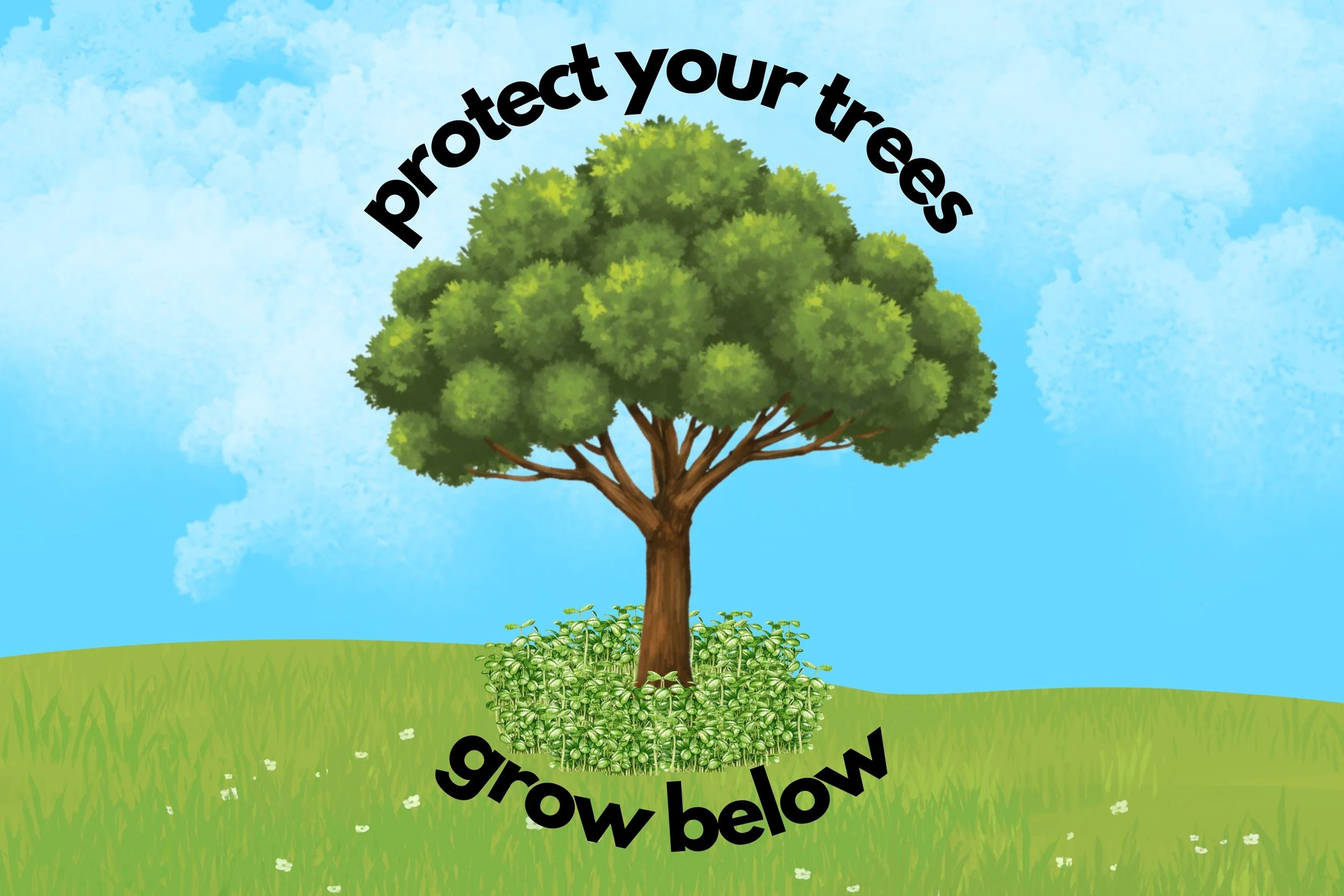 Protect Your Trees, Grow Below