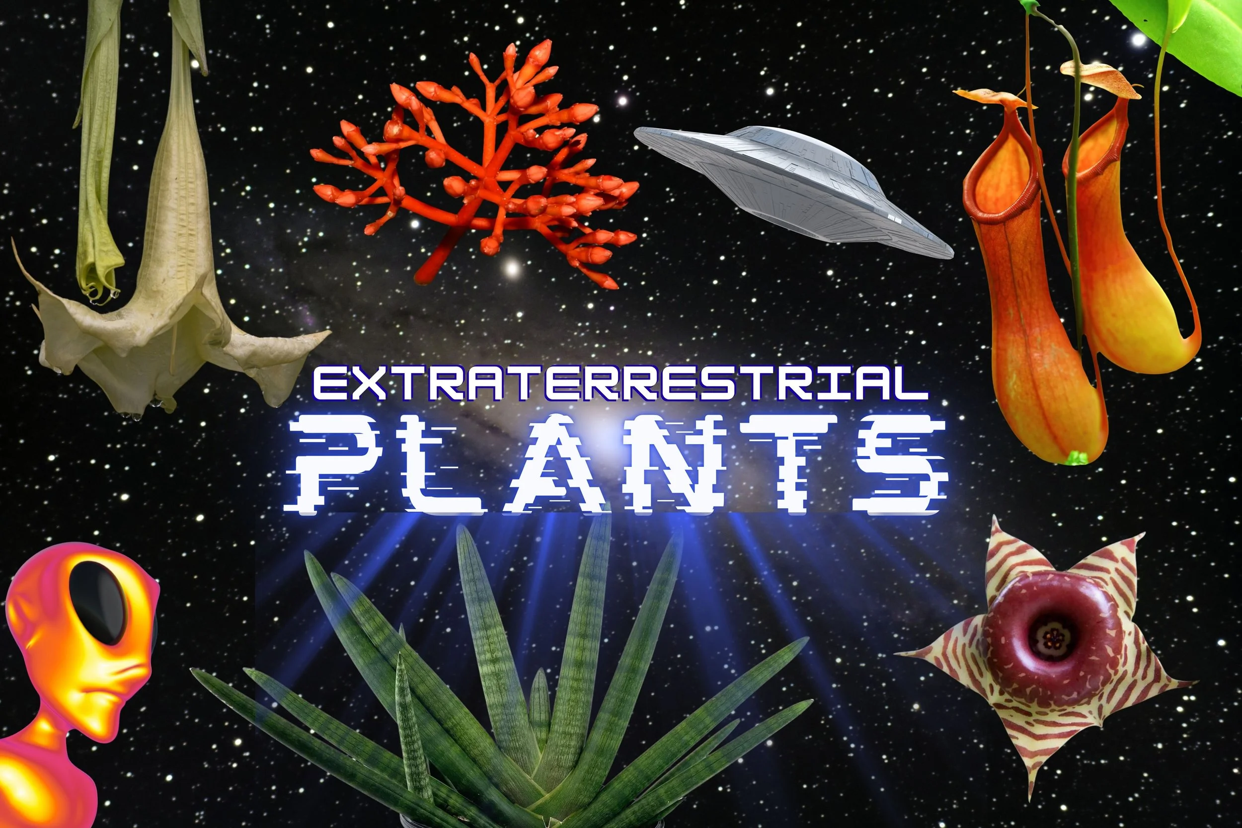 Extraterrestrial Plants