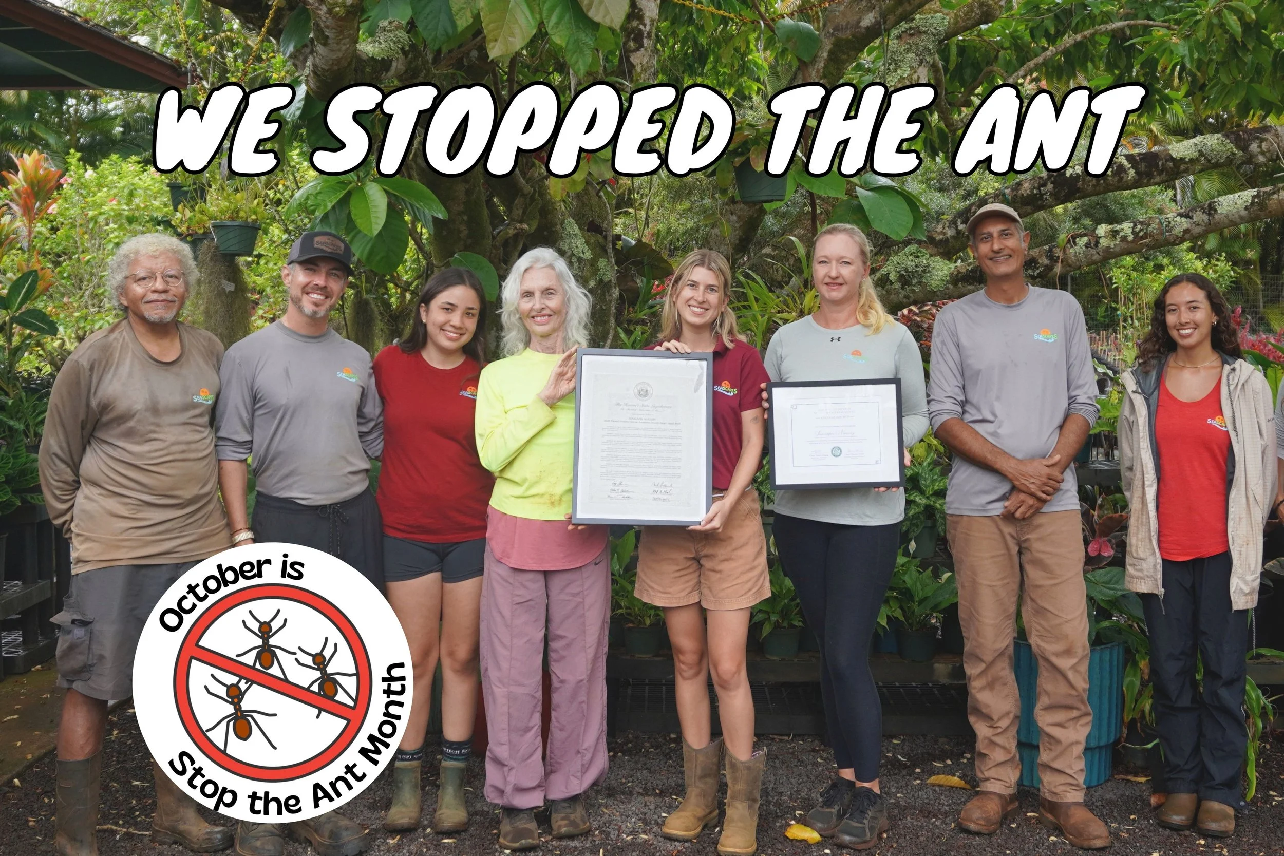 We Stopped the Ant