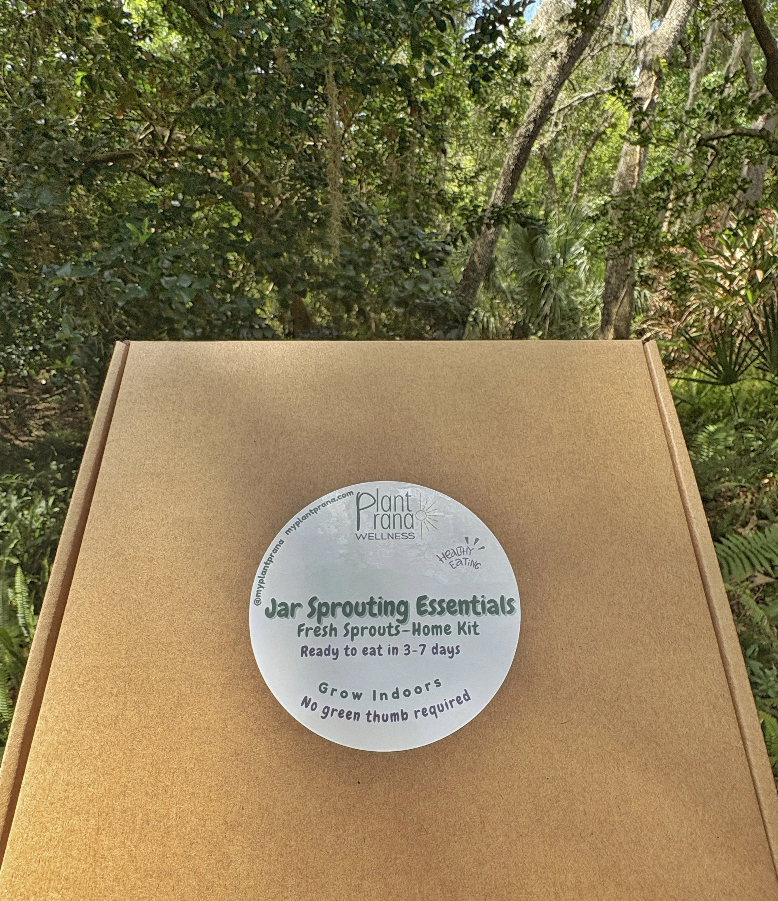 Sprouting Essentials Kit