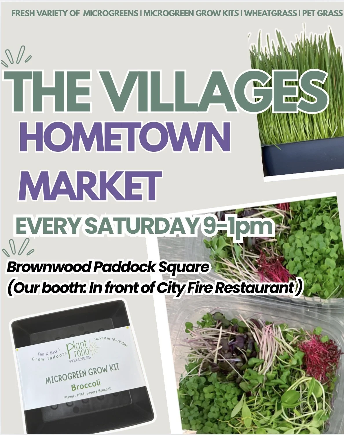 Find the Freshest Microgreens at Brownwood Paddock Square – The Villages Hometown Market