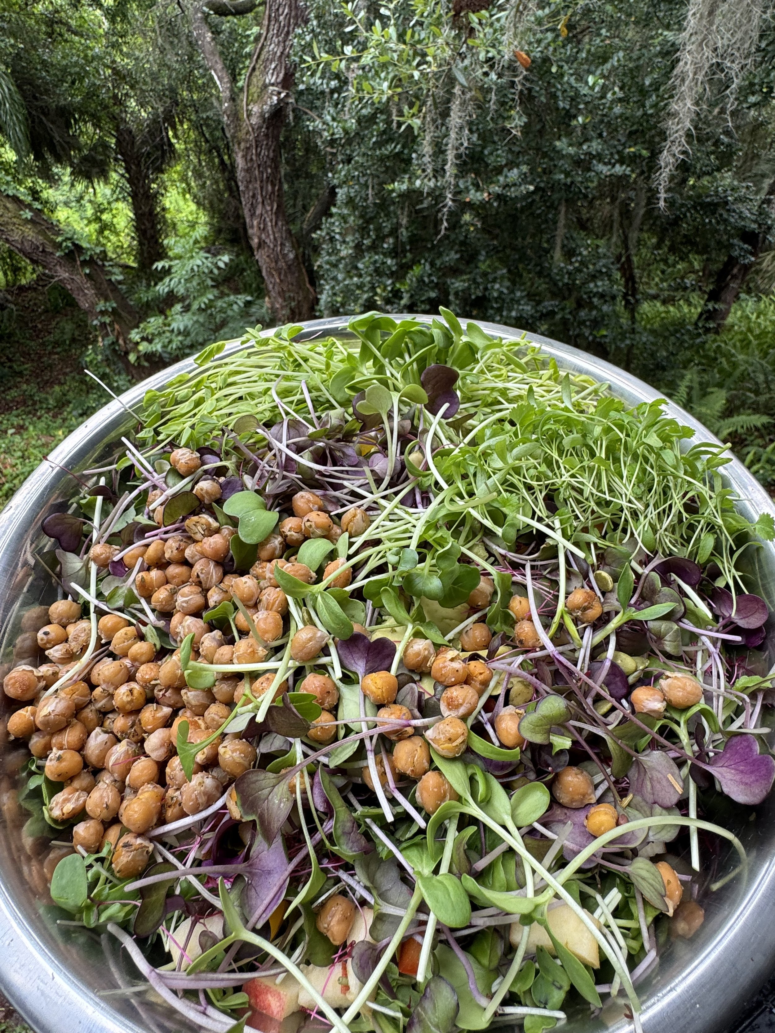 salad bowl plant based nutrition