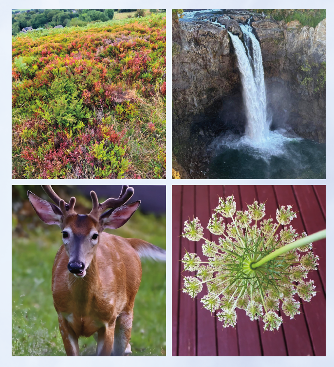 Spring Assembly – Hope and the Future of Creation