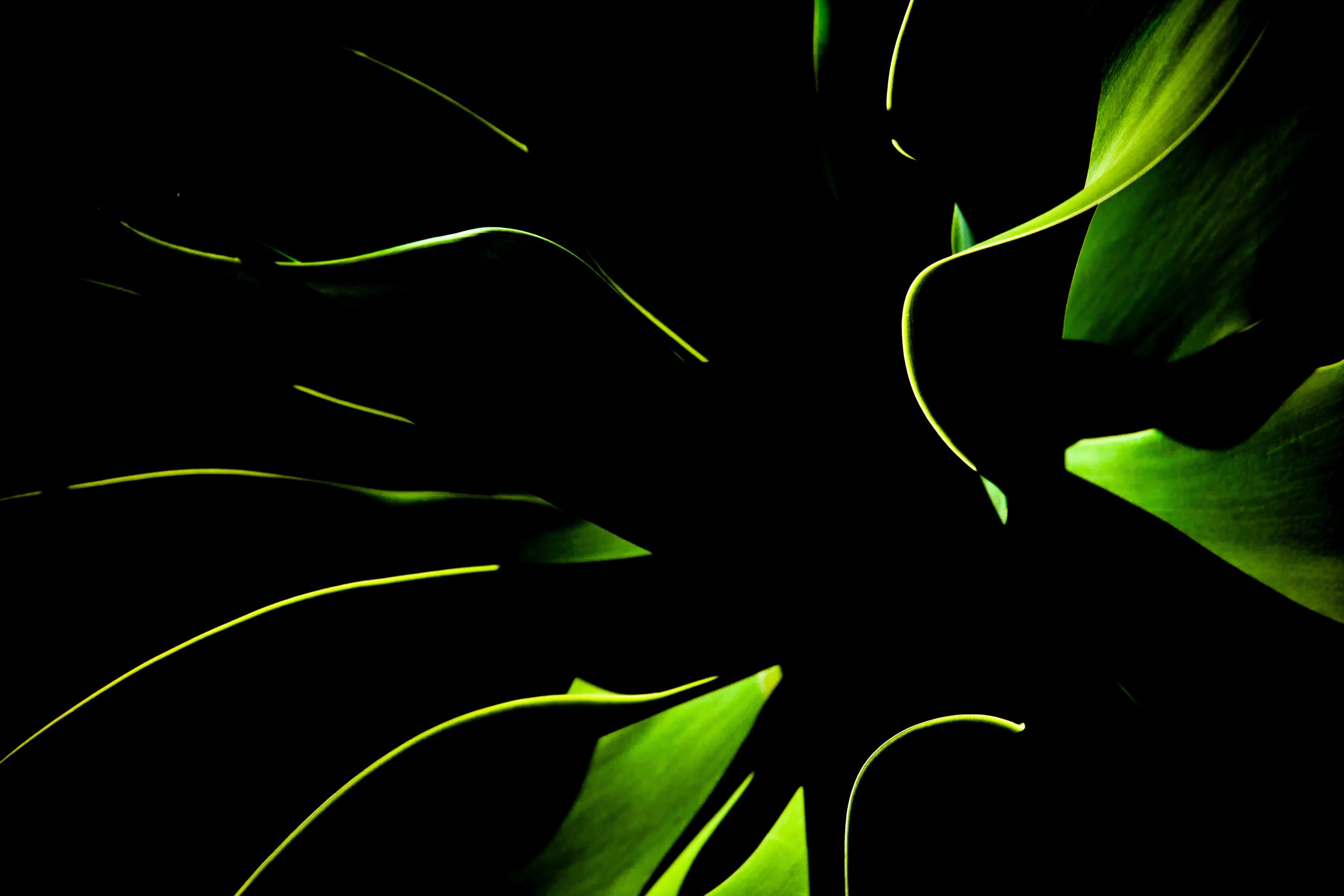 Returning To The Elements ⭐️